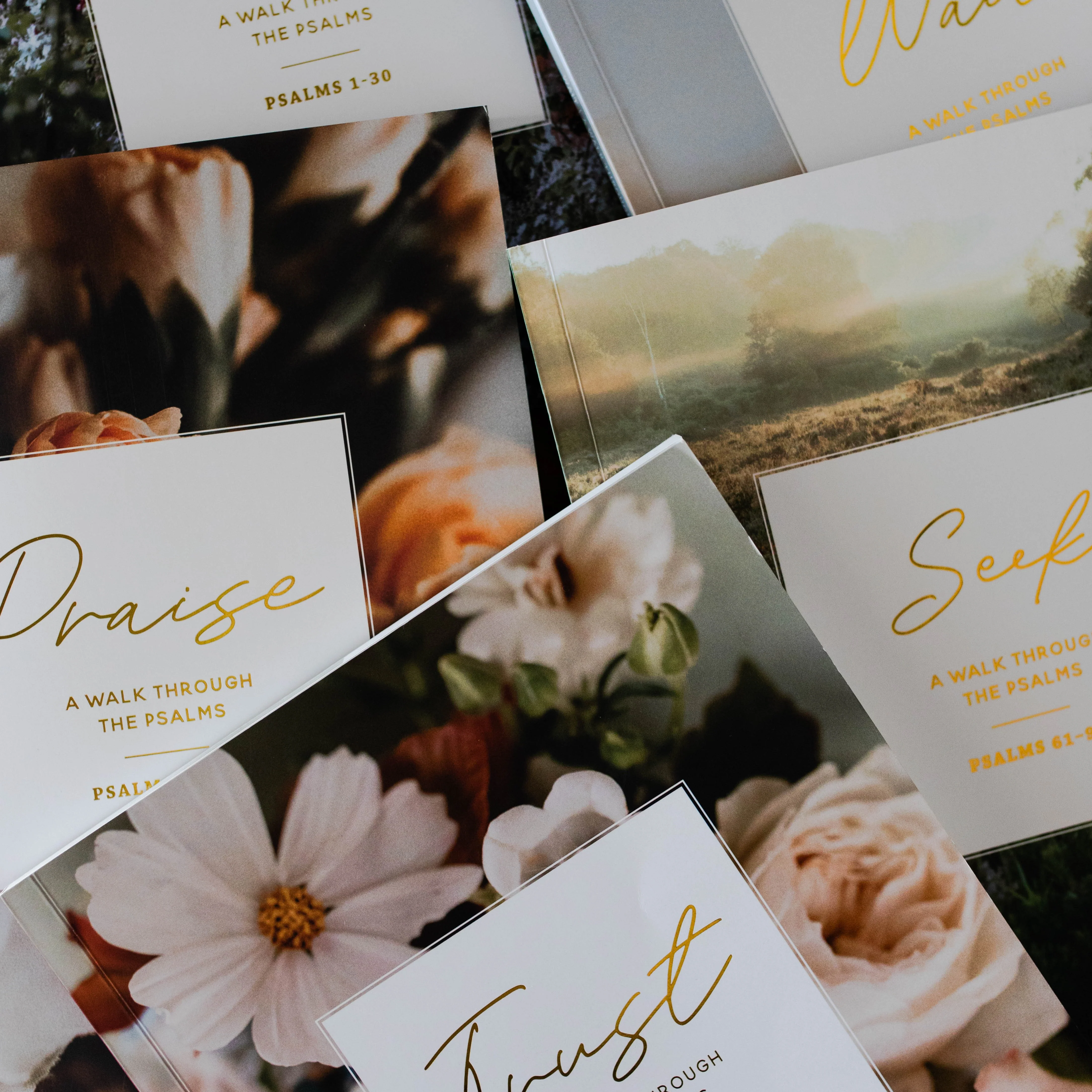 Psalms Bundle - Image 5
