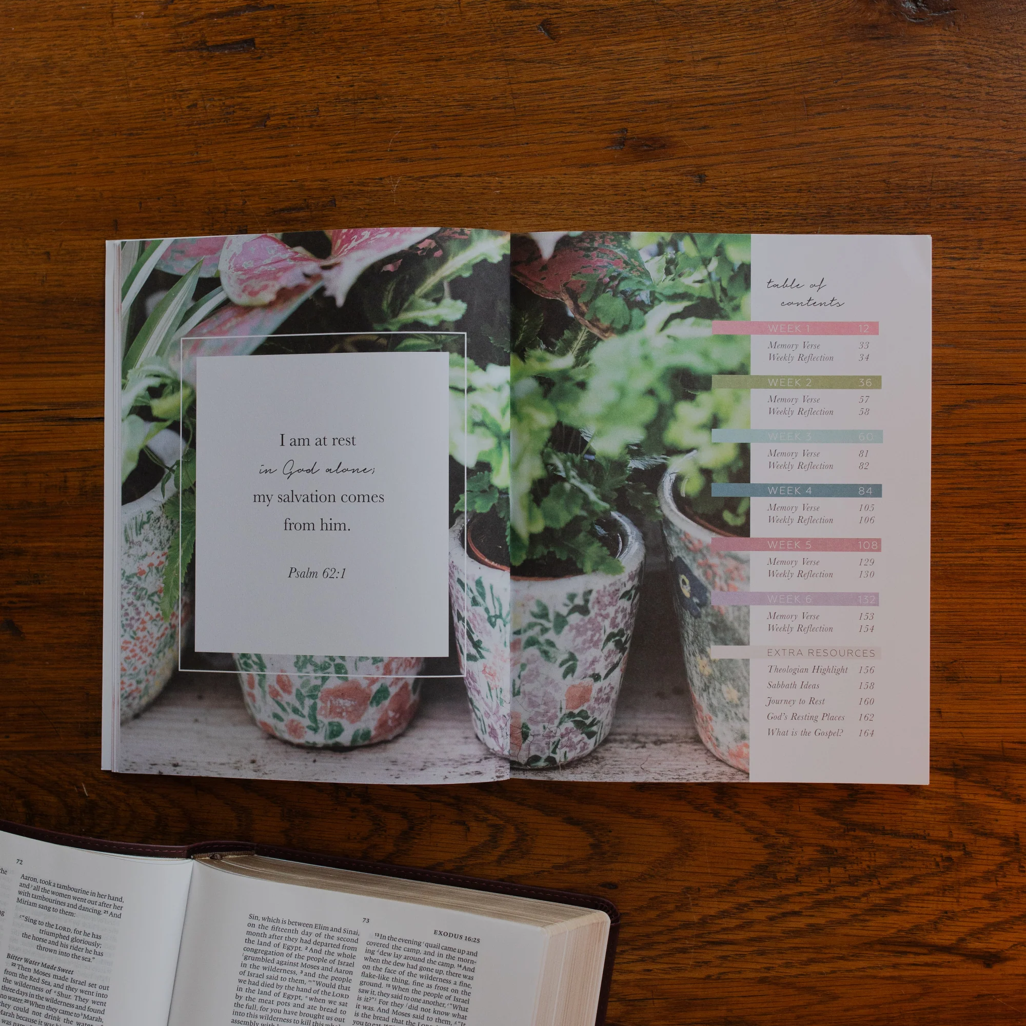 Rest Bible Study - Image 2