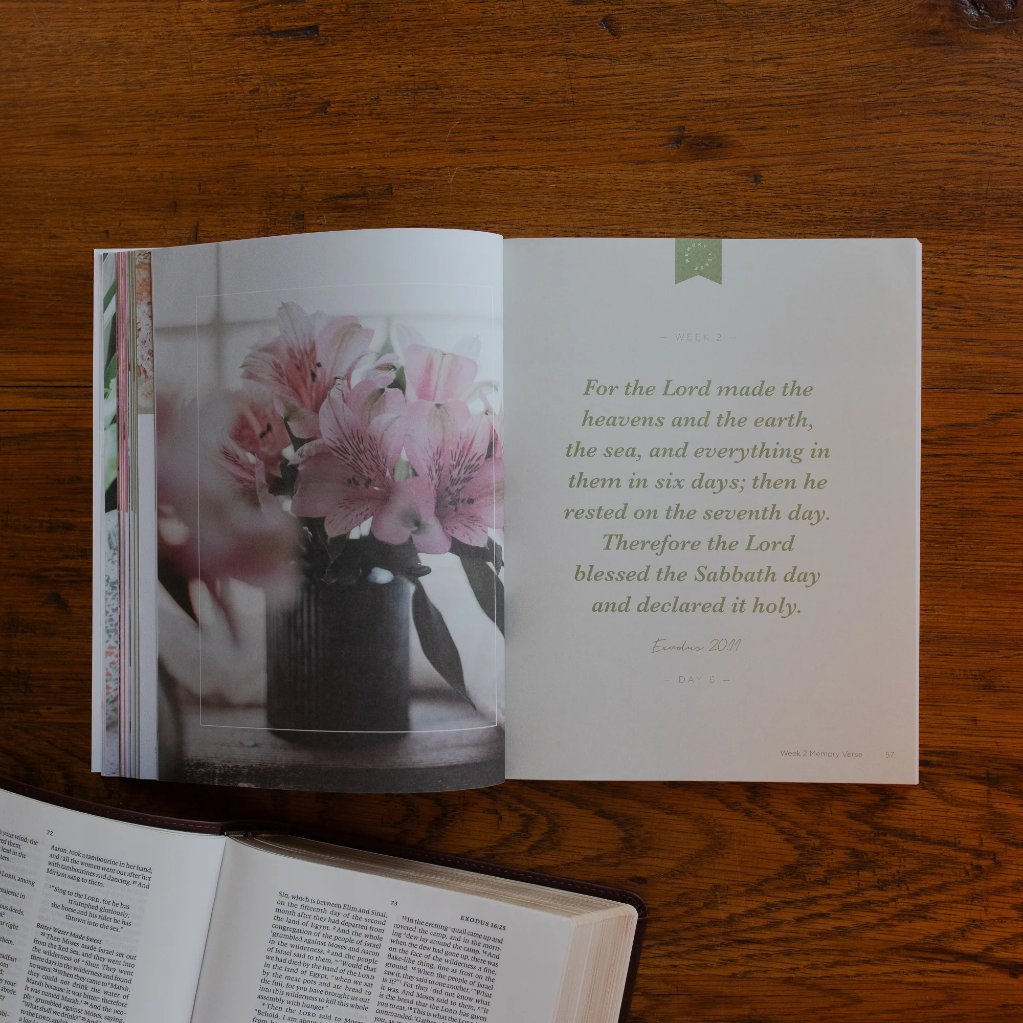 Rest Bible Study - Image 5