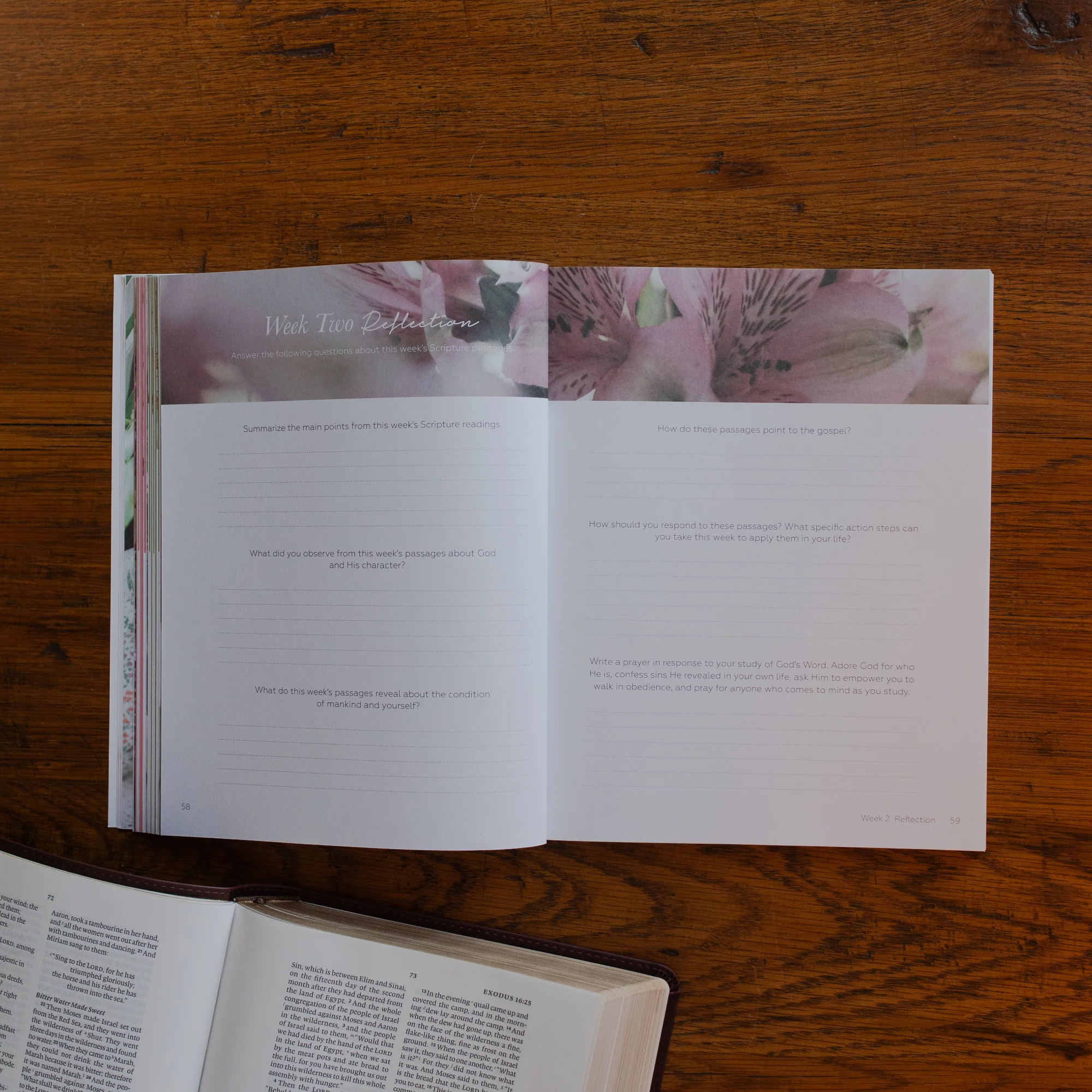 Rest Bible Study - Image 6