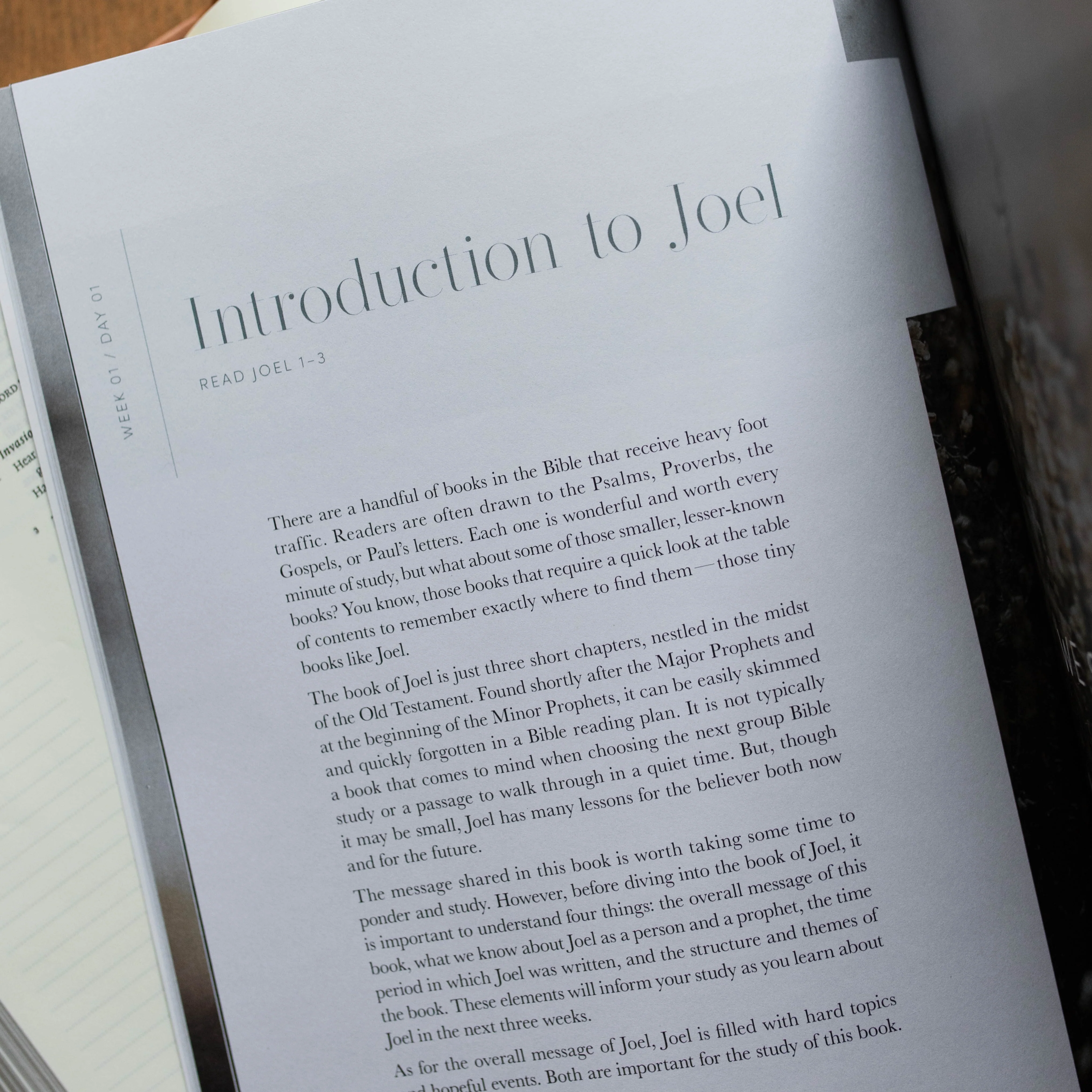 Restored | Joel Bible Study - Image 3