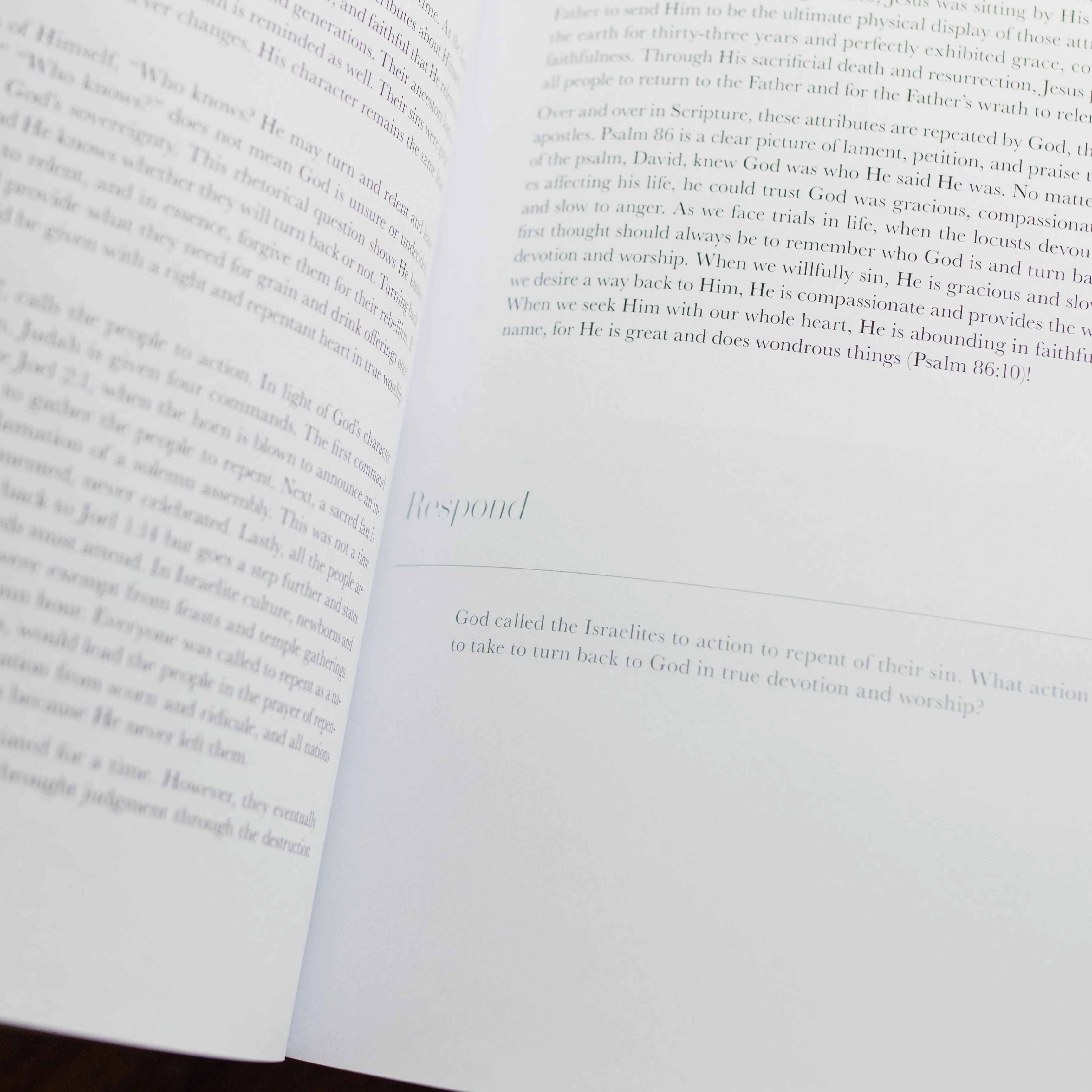 Restored | Joel Bible Study - Image 5
