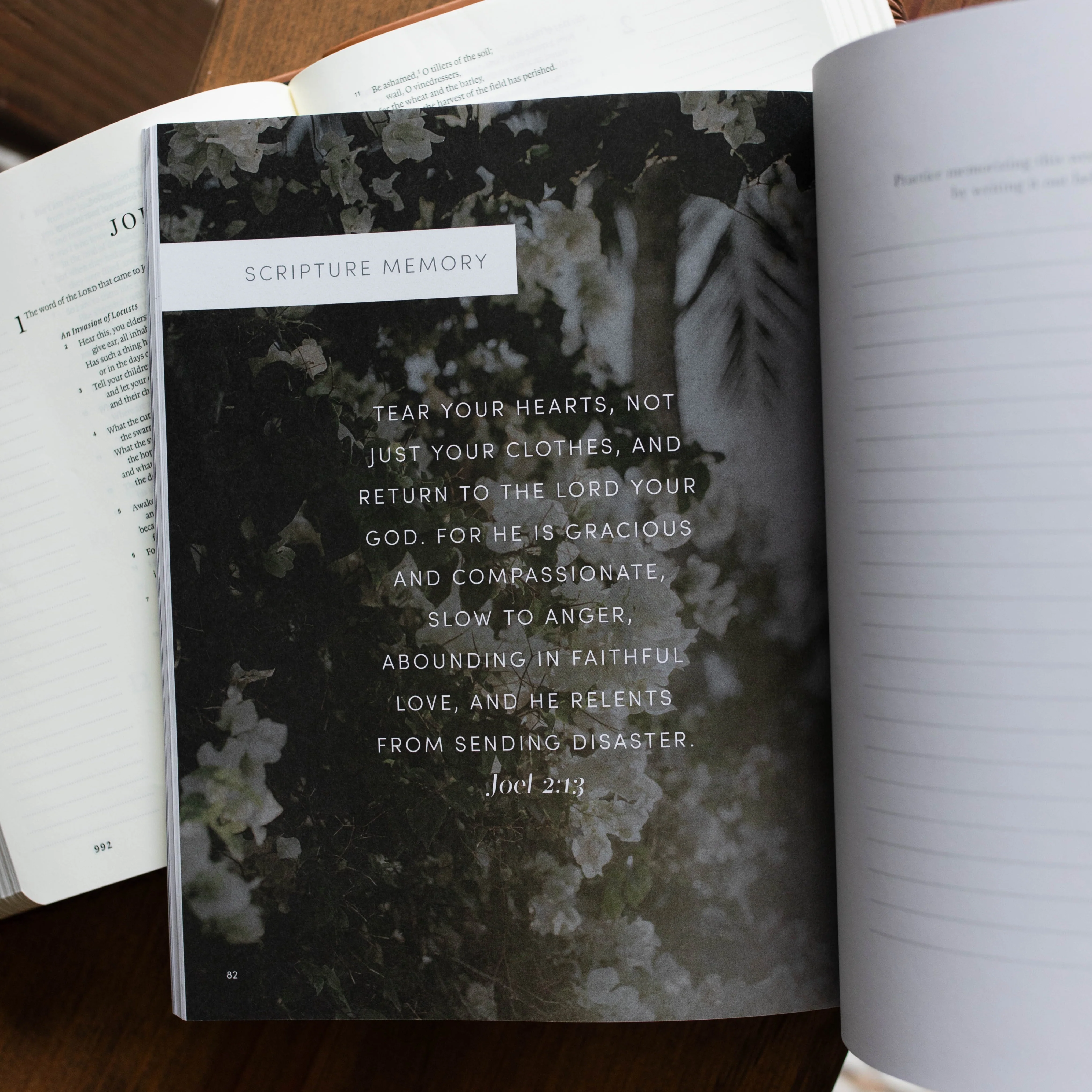 Restored | Joel Bible Study - Image 7