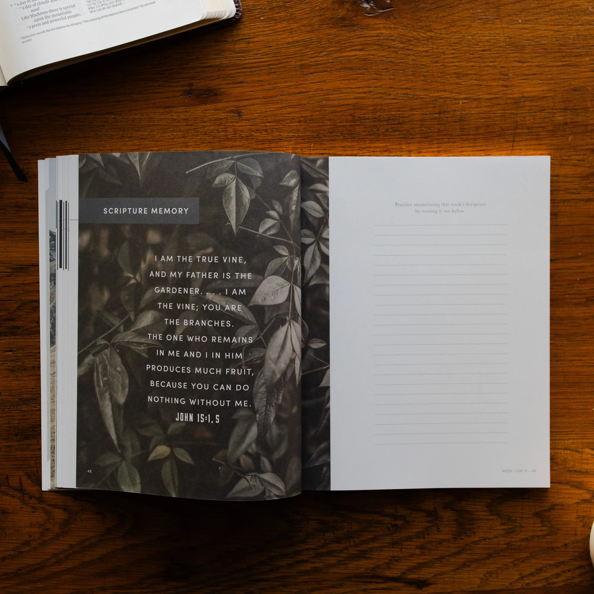 Restored | Joel Bible Study - Men - Image 7