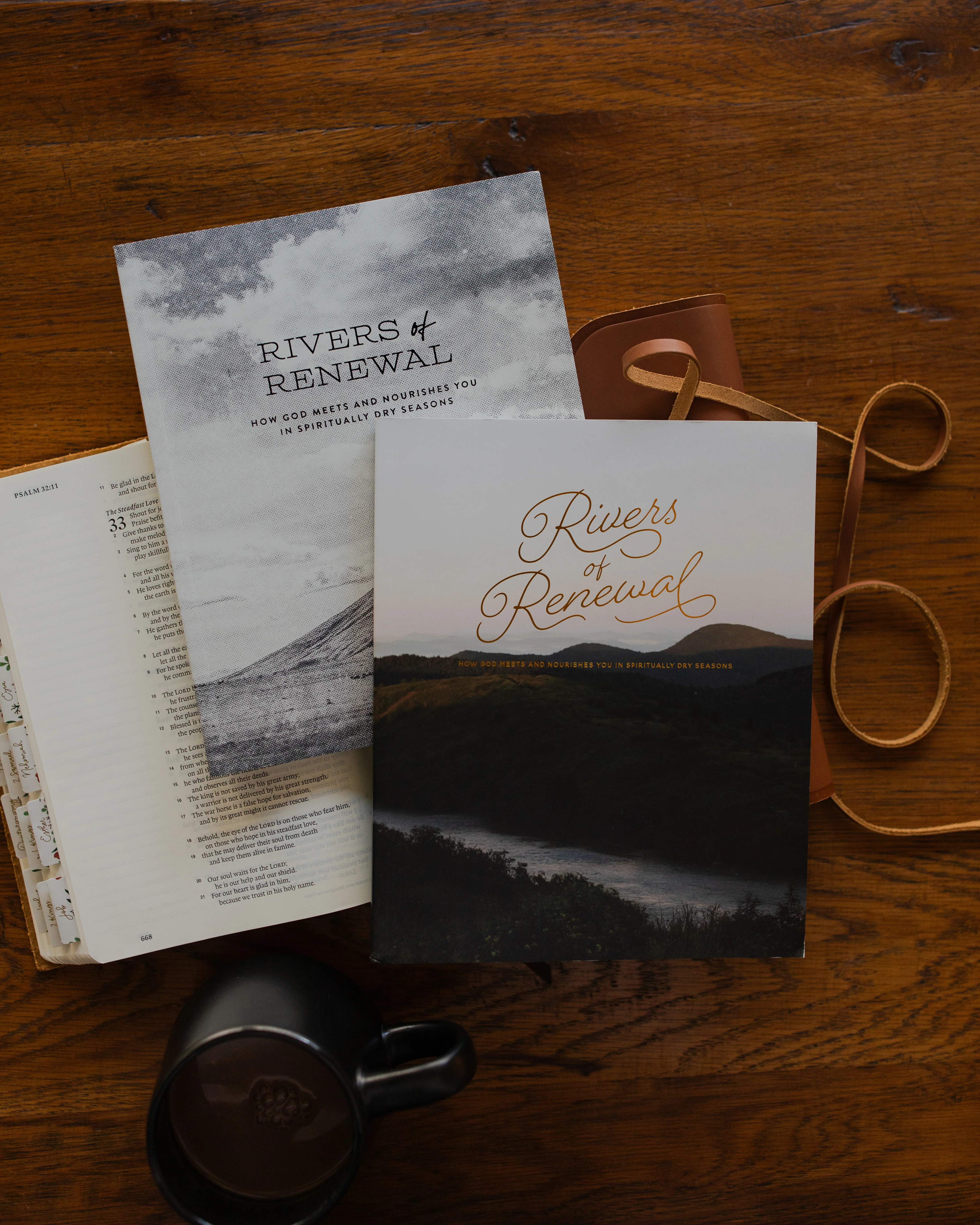 Rivers of Renewal Bible Study | His & Hers - Image 2
