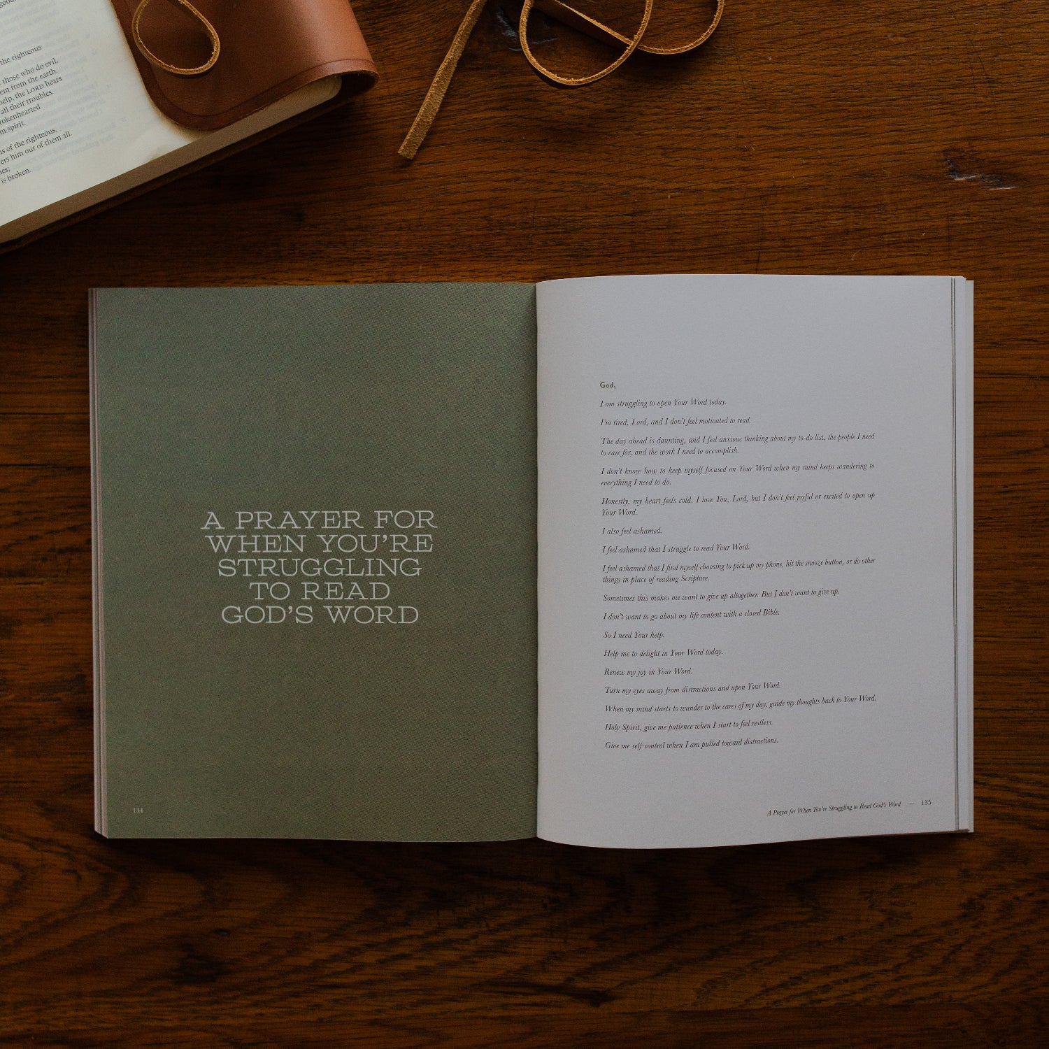 Rivers of Renewal Bible Study - Men - Image 6