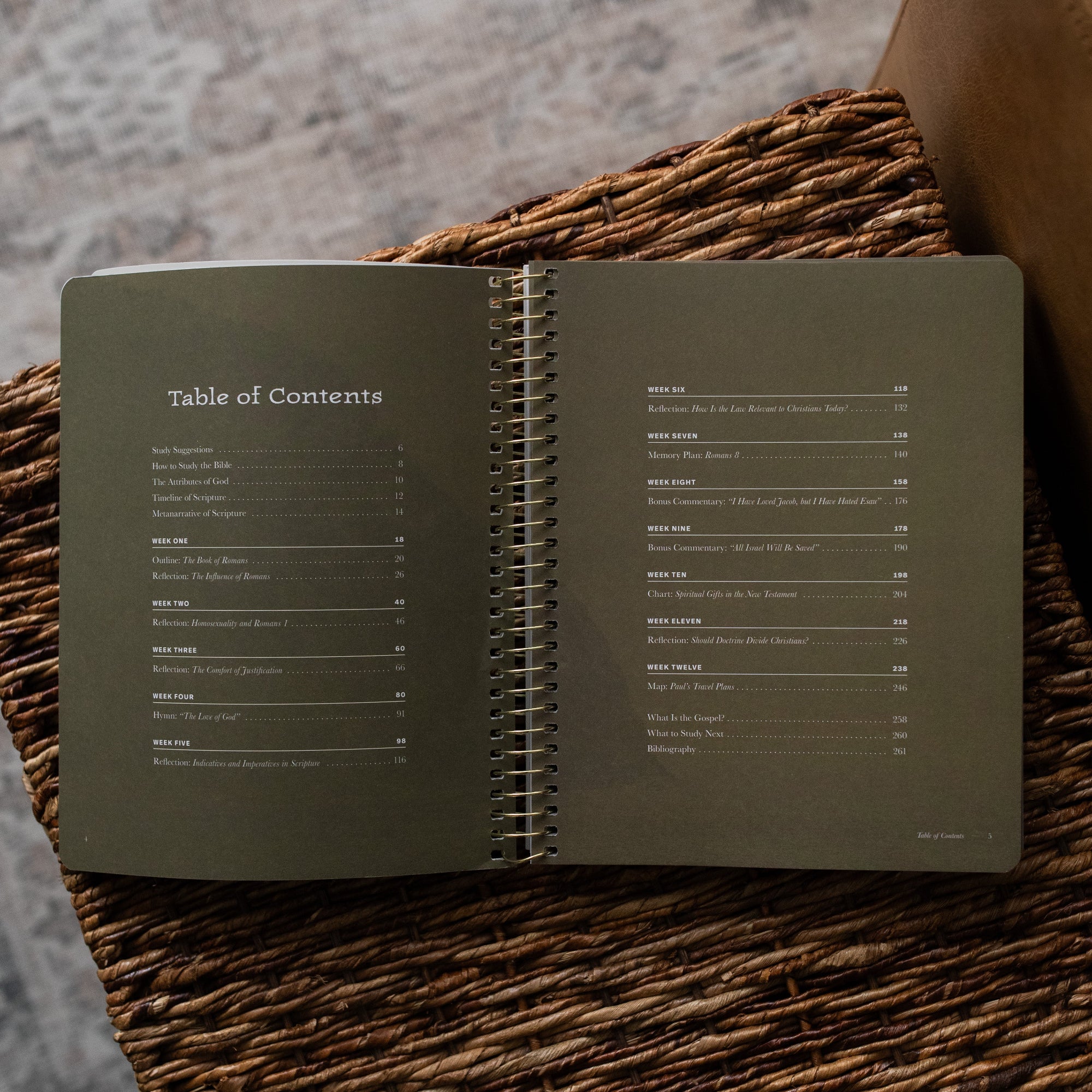 In Christ Alone | Romans Bible Study - Men's - Image 2
