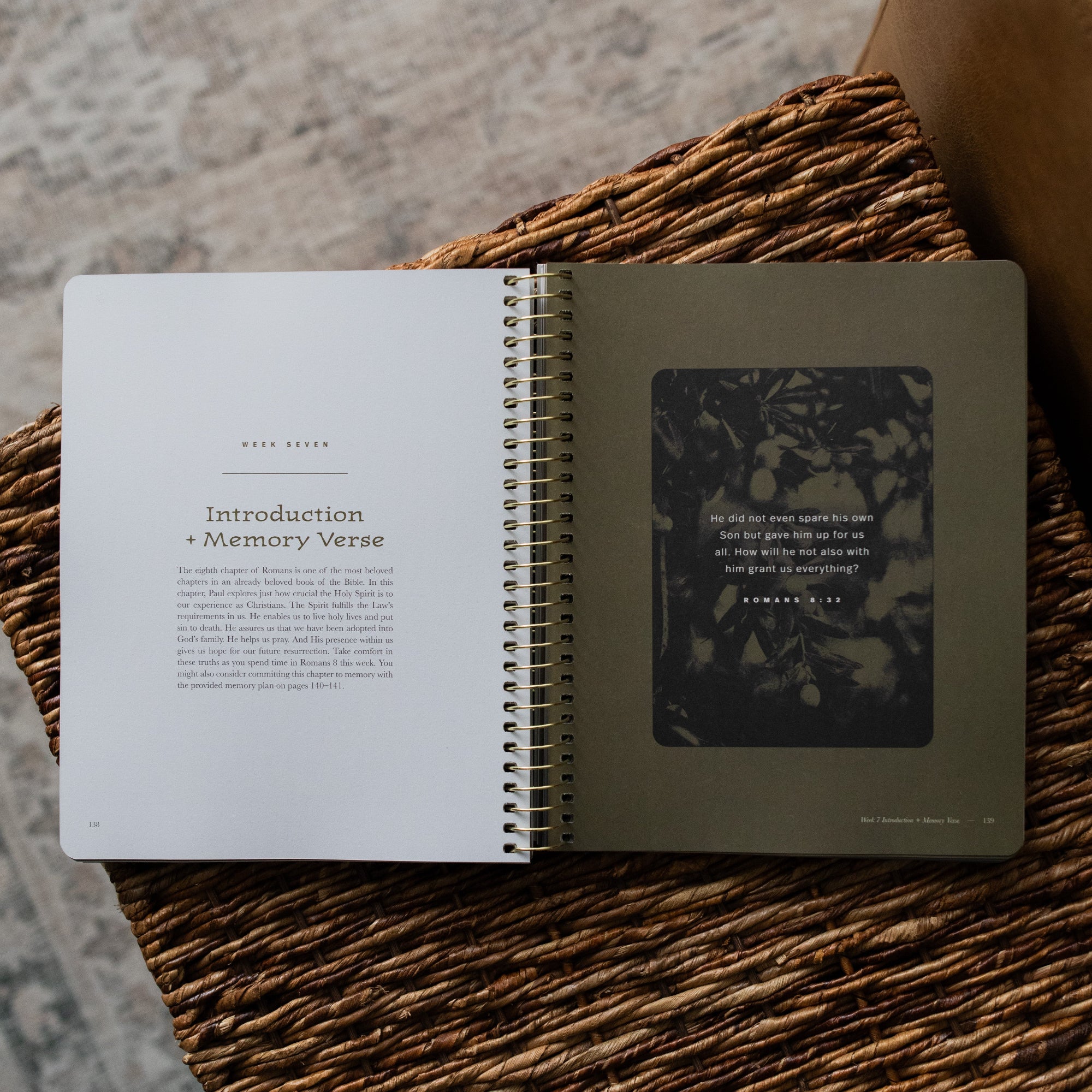 In Christ Alone | Romans Bible Study - Men's - Image 3