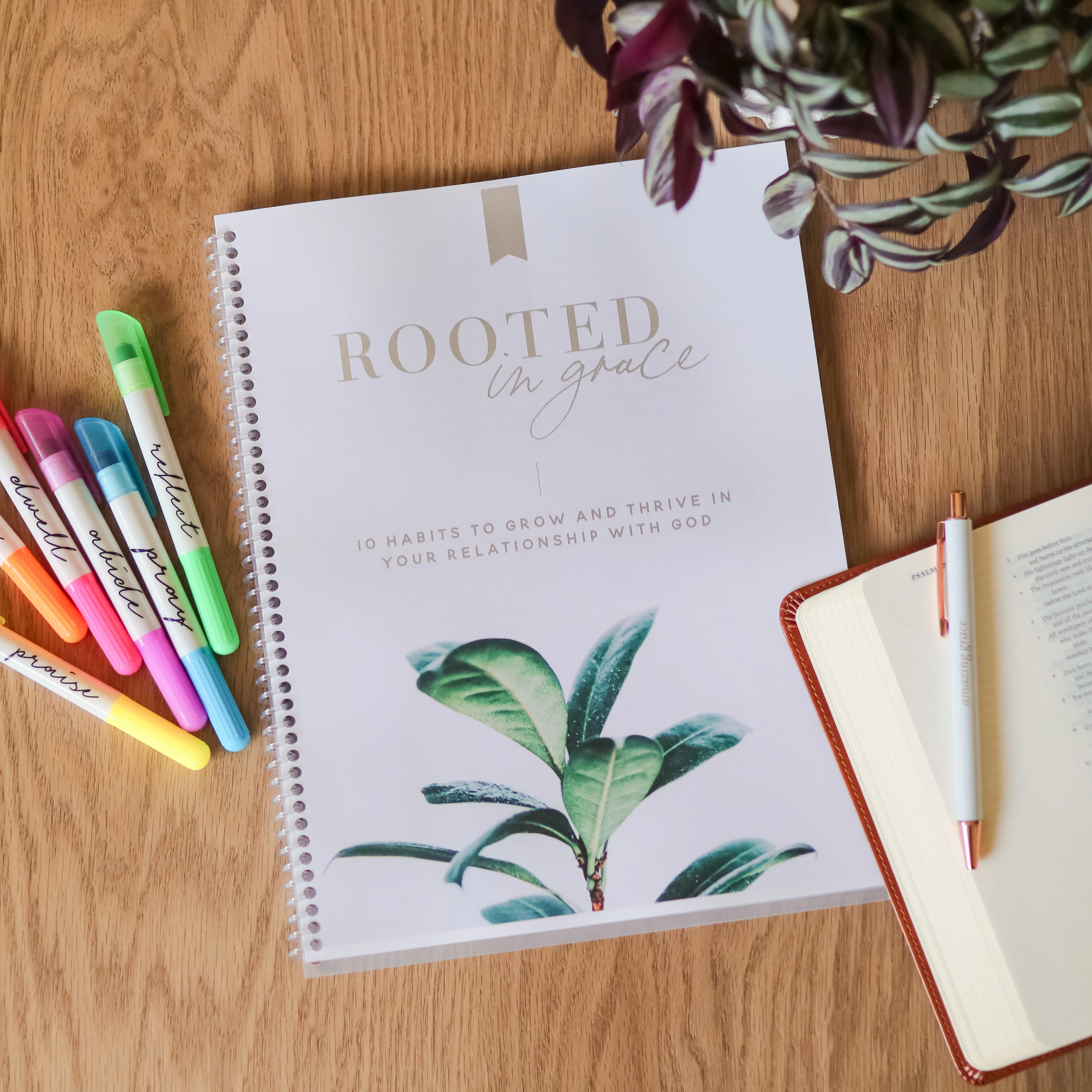 Rooted in Grace Digital Course - Image 11