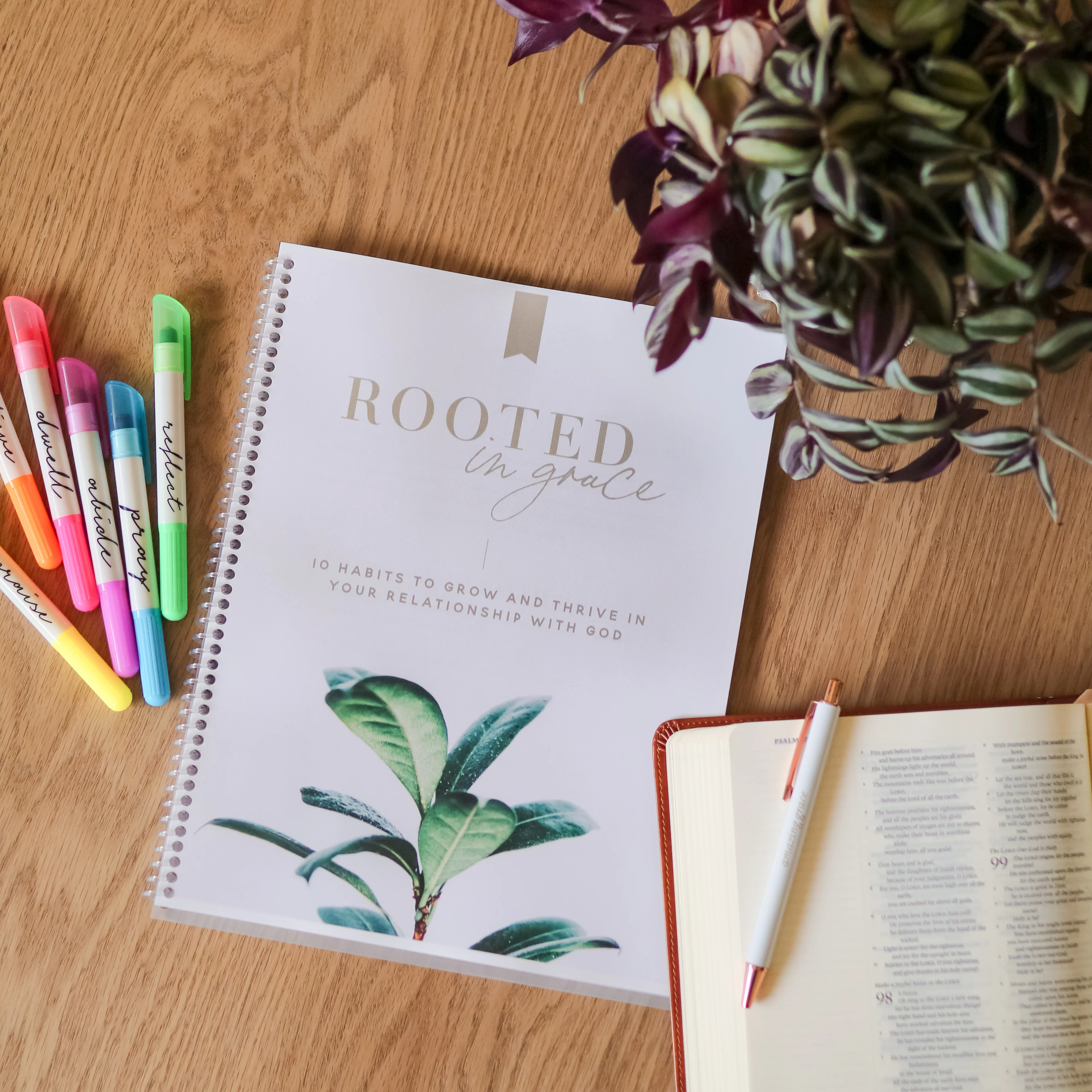 Rooted in Grace Digital Course - Image 12