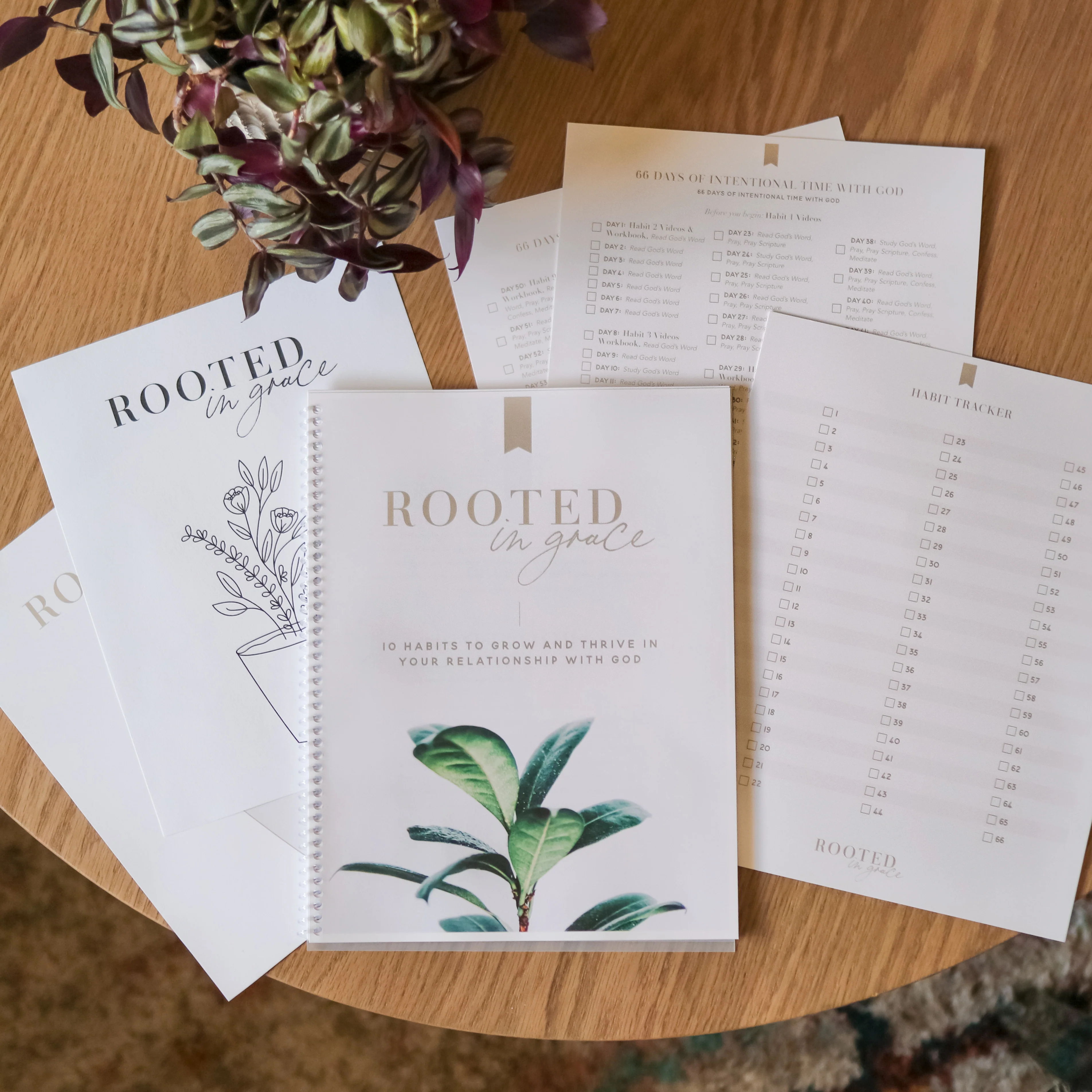 Rooted in Grace Digital Course - Image 3