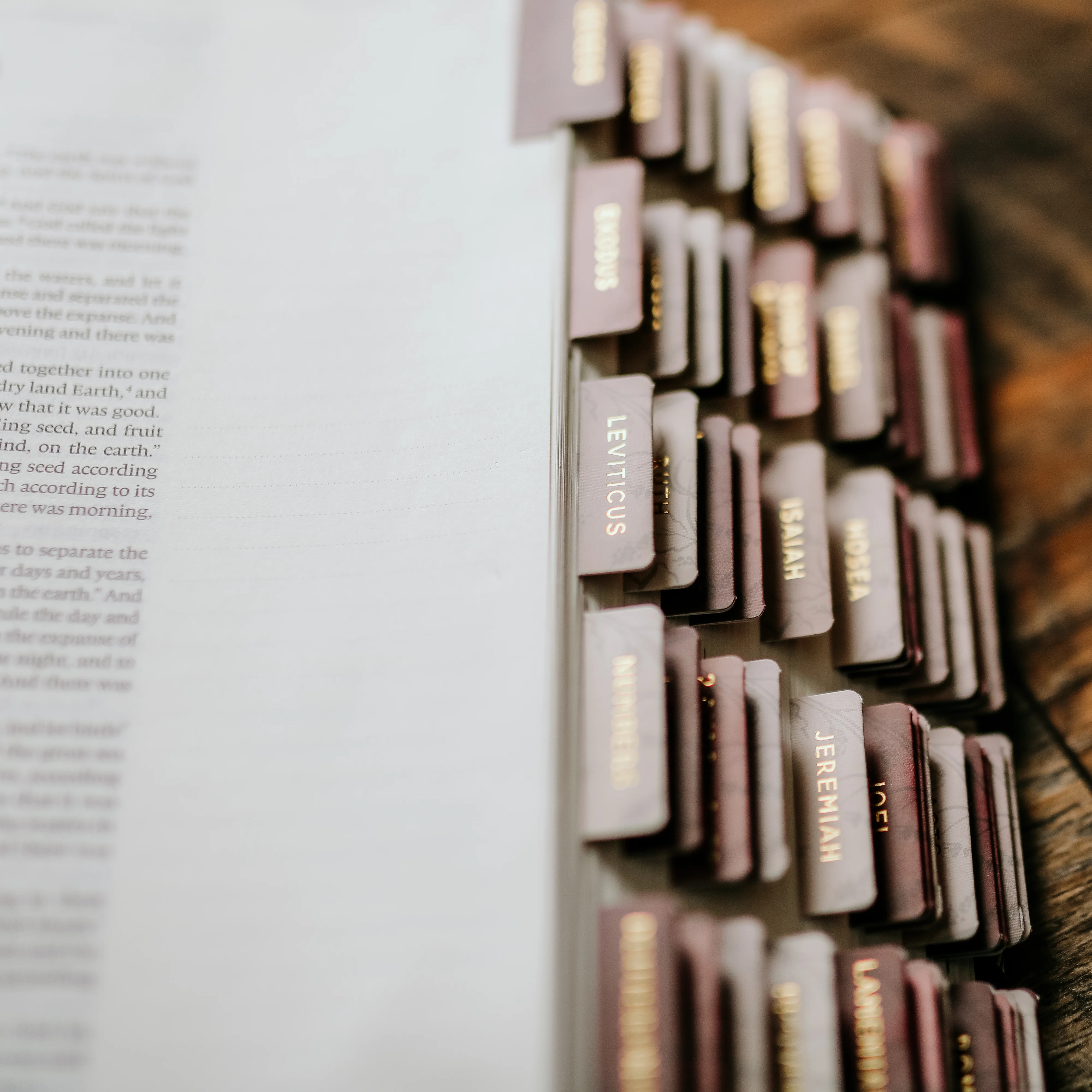 Bible Tabs | Rose Floral - Image 4