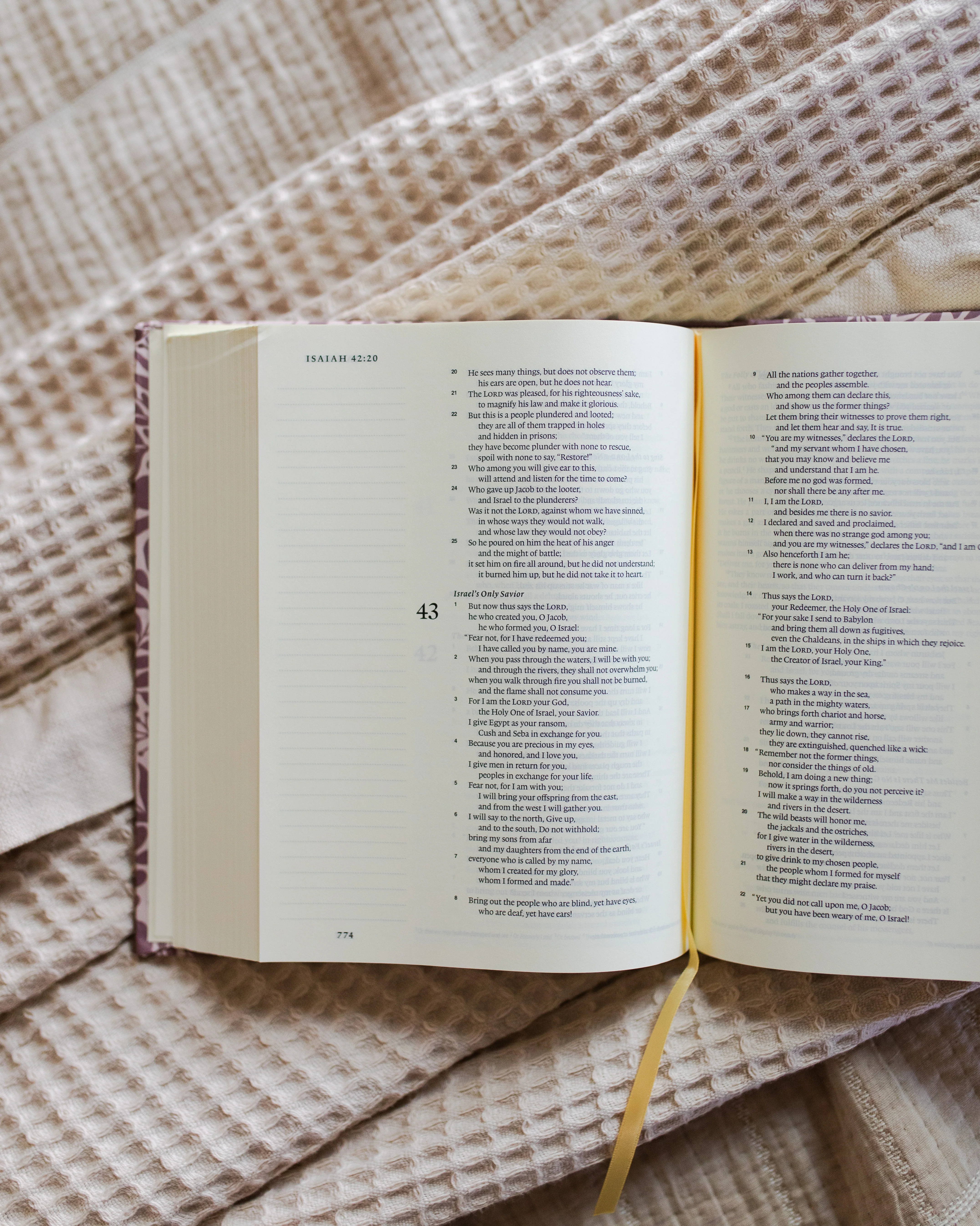 ESV Single Column Journaling Bible® | Rose Floral - Image 3