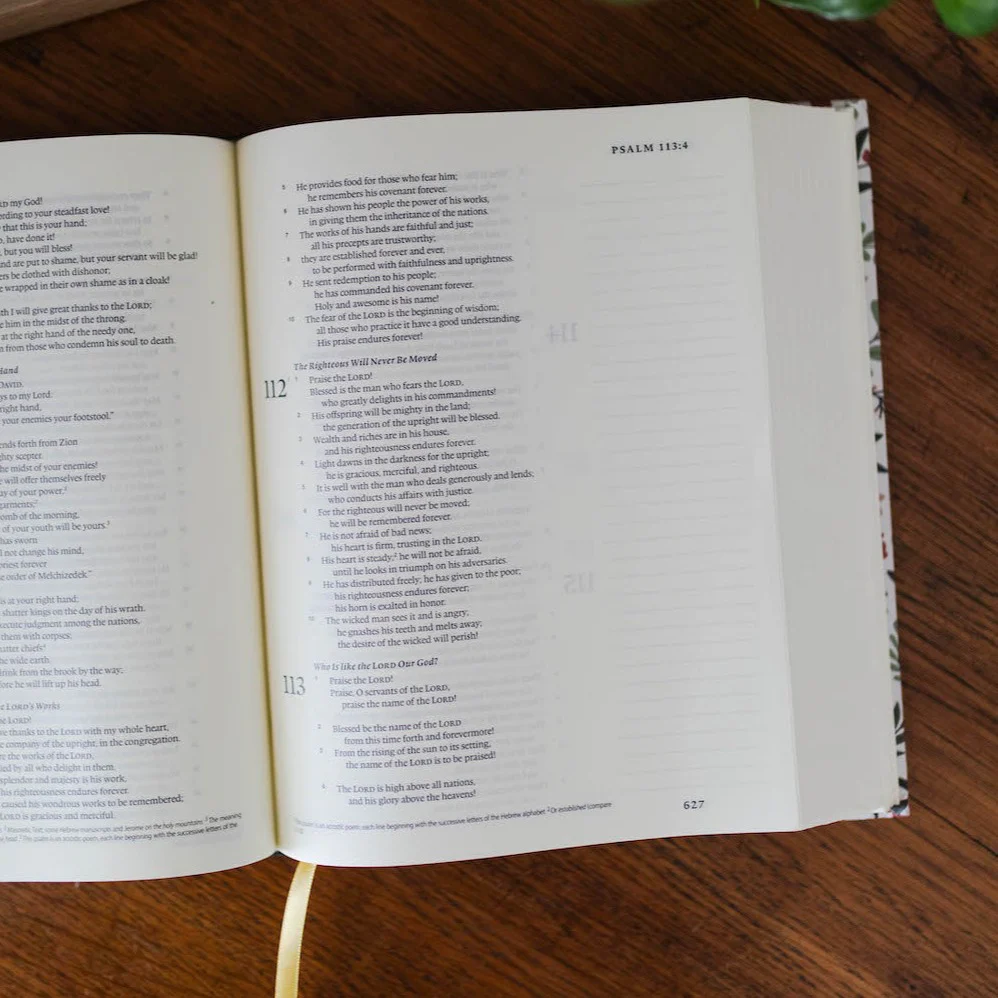 ESV Single Column Journaling Bible® | Rust Floral - Image 3