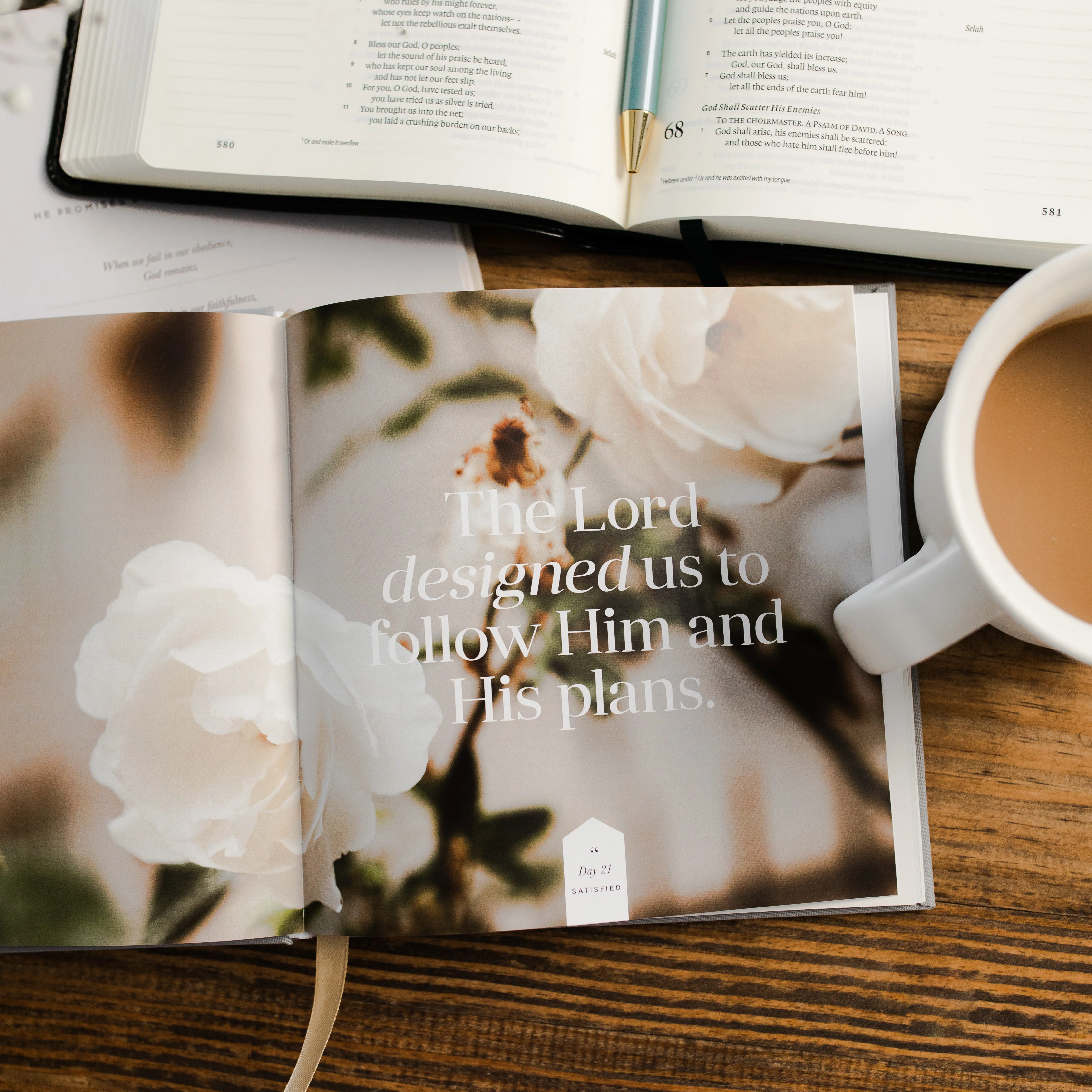 Satisfied | A 60-Day Devotional - Image 5