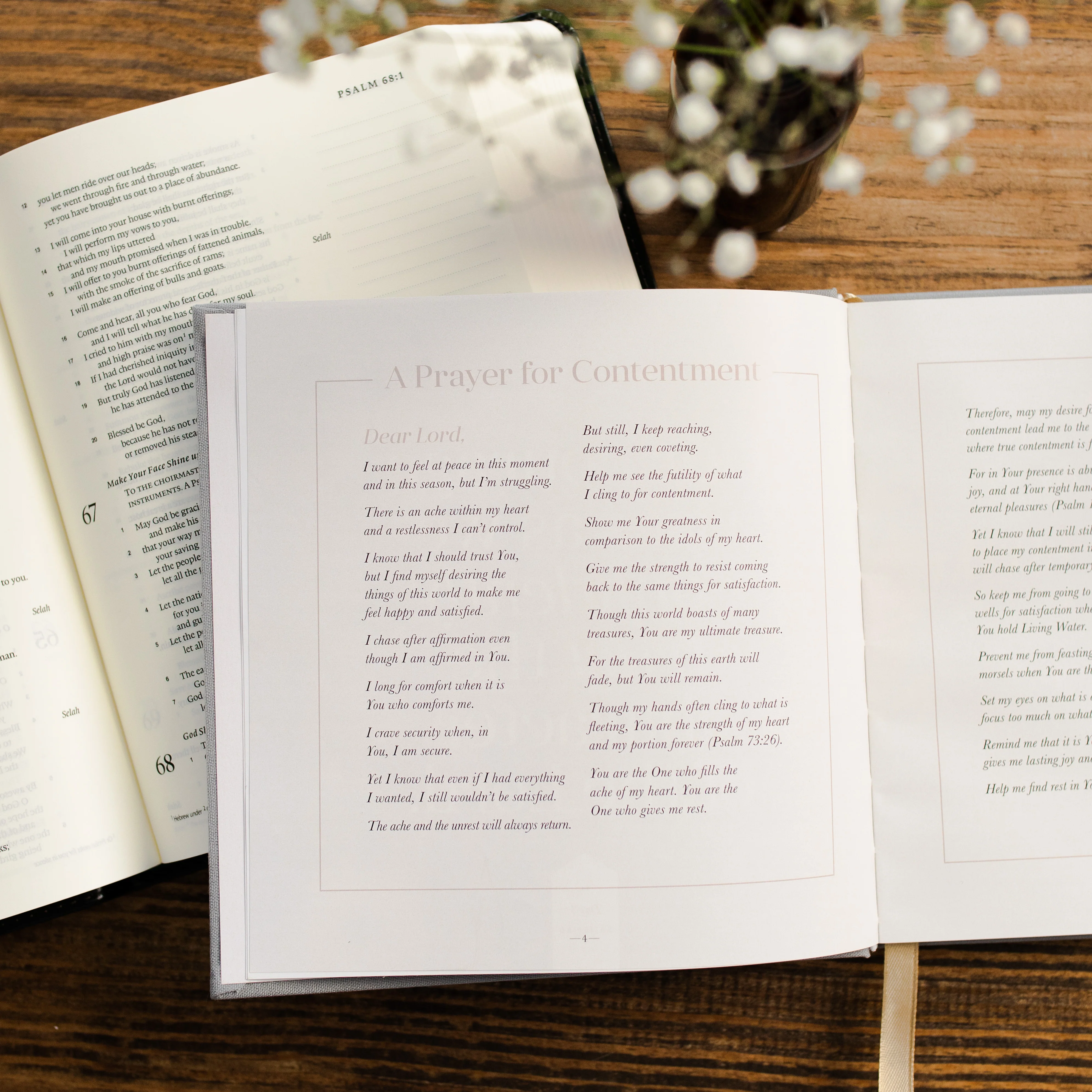 Satisfied | A 60-Day Devotional - Image 7