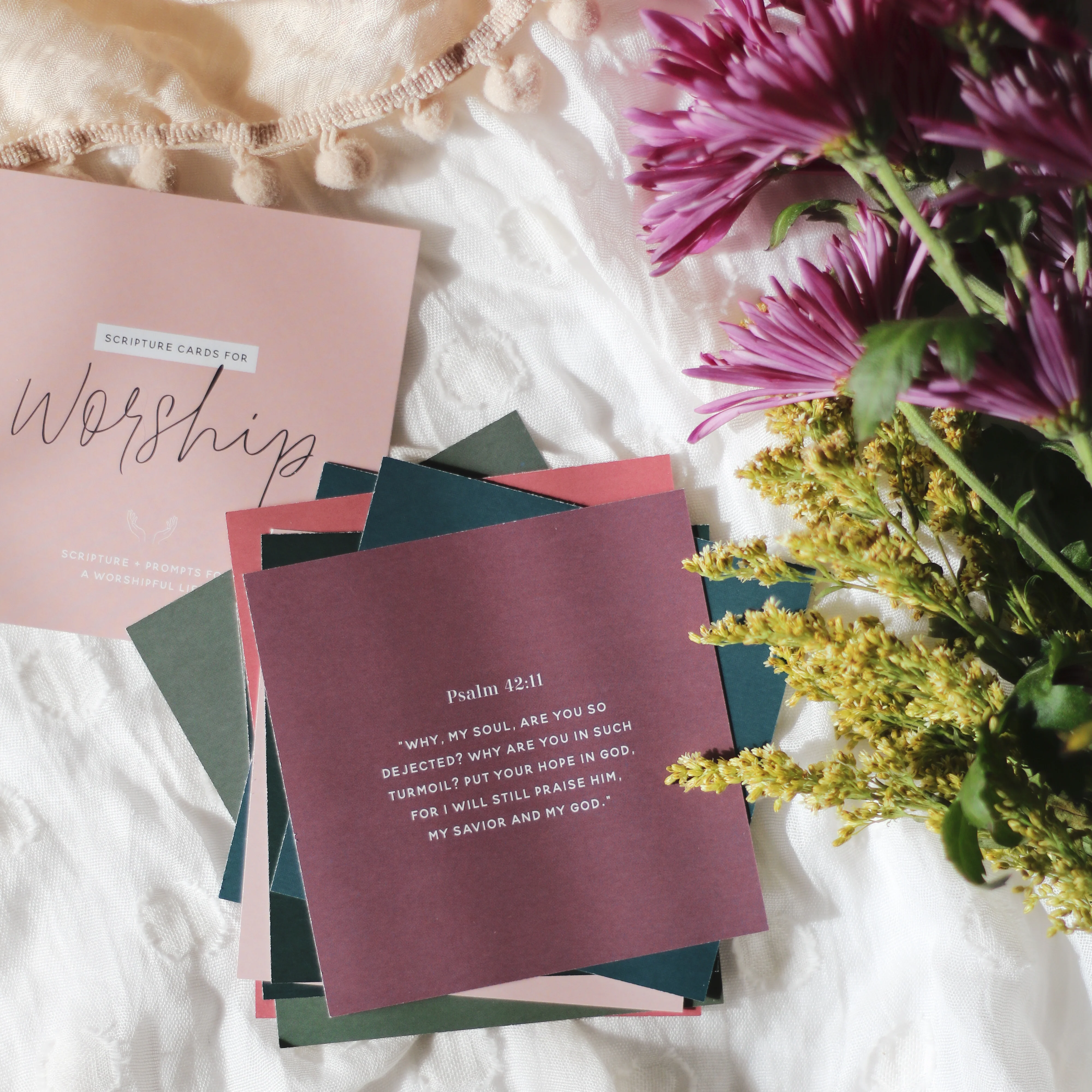 Scripture Cards for Worship - Image 3