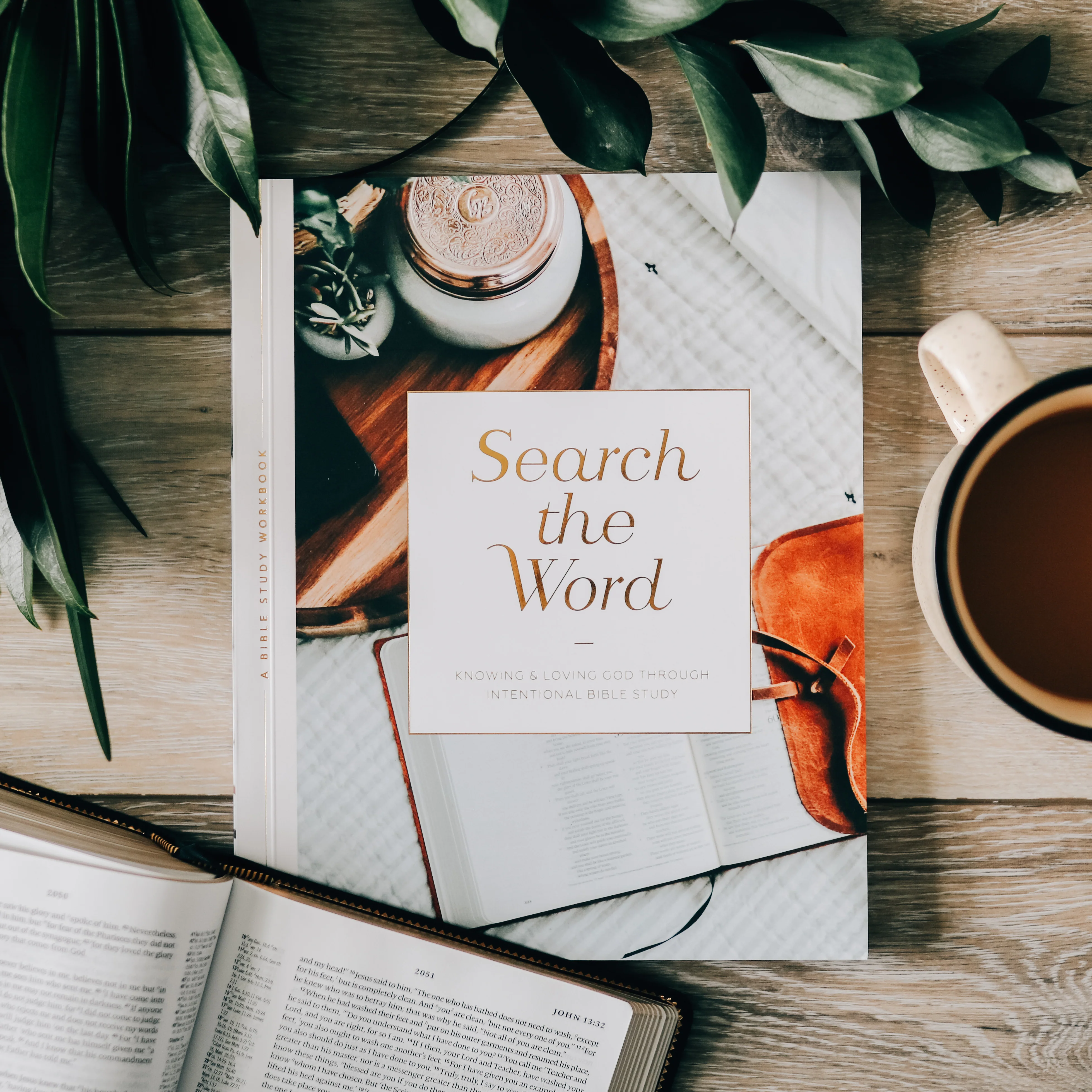 Search the Word | Bible Study - Image 10