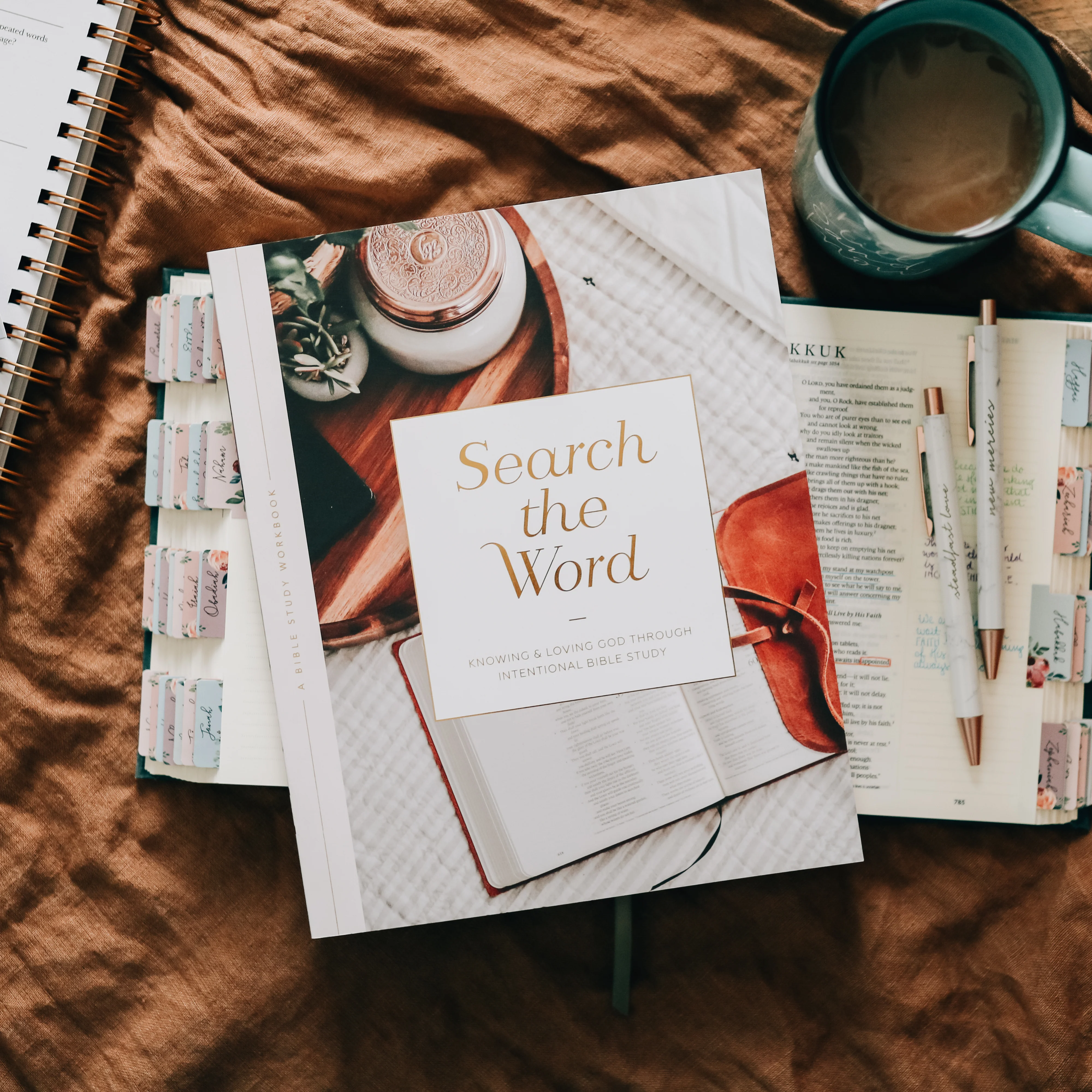 Search the Word | Bible Study - Image 11