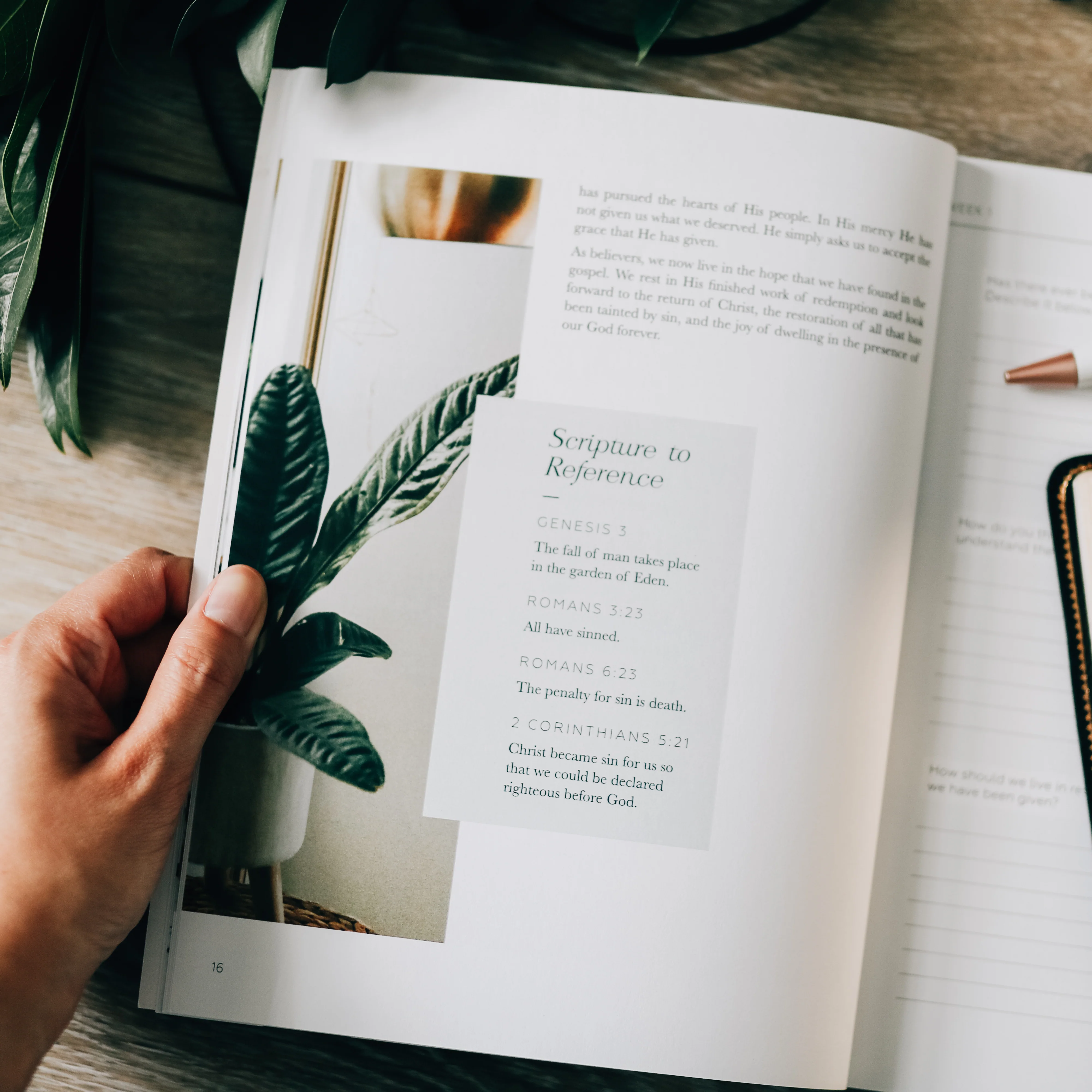 Search the Word | Bible Study - Image 3