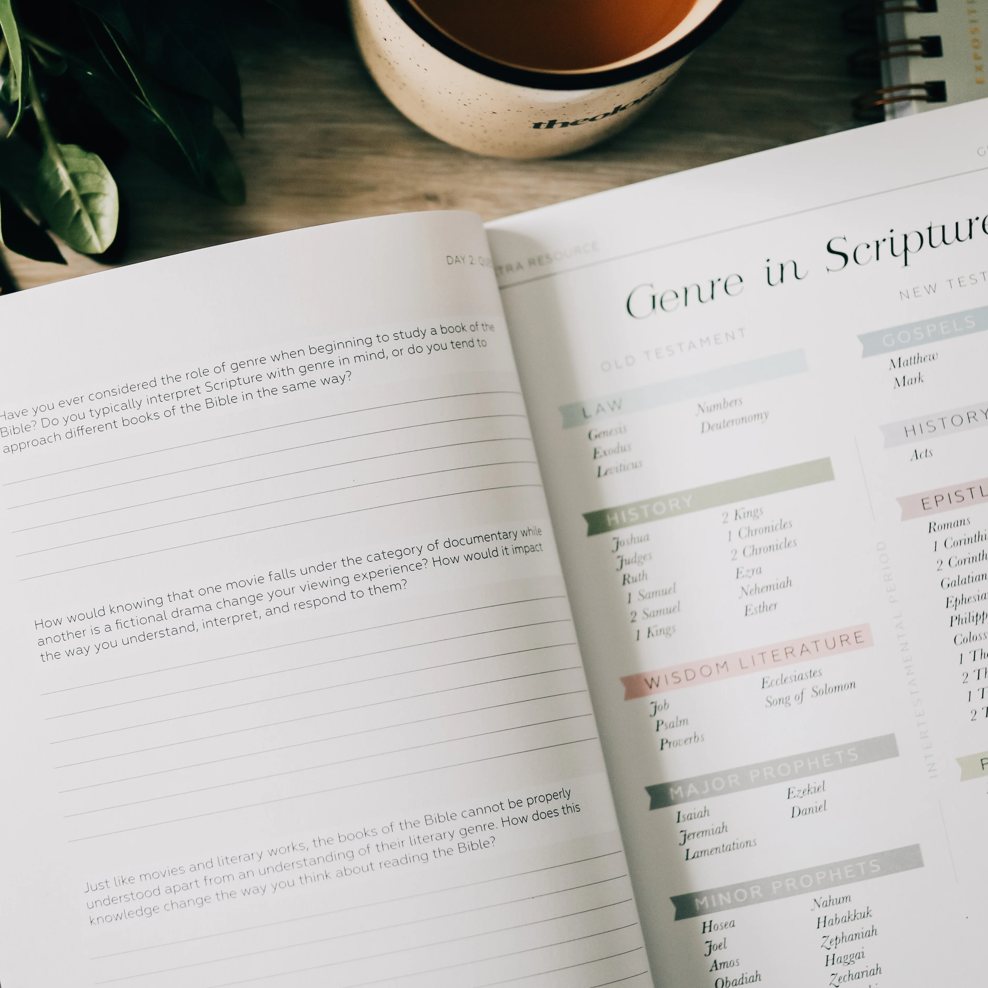 Search the Word | Bible Study - Image 5