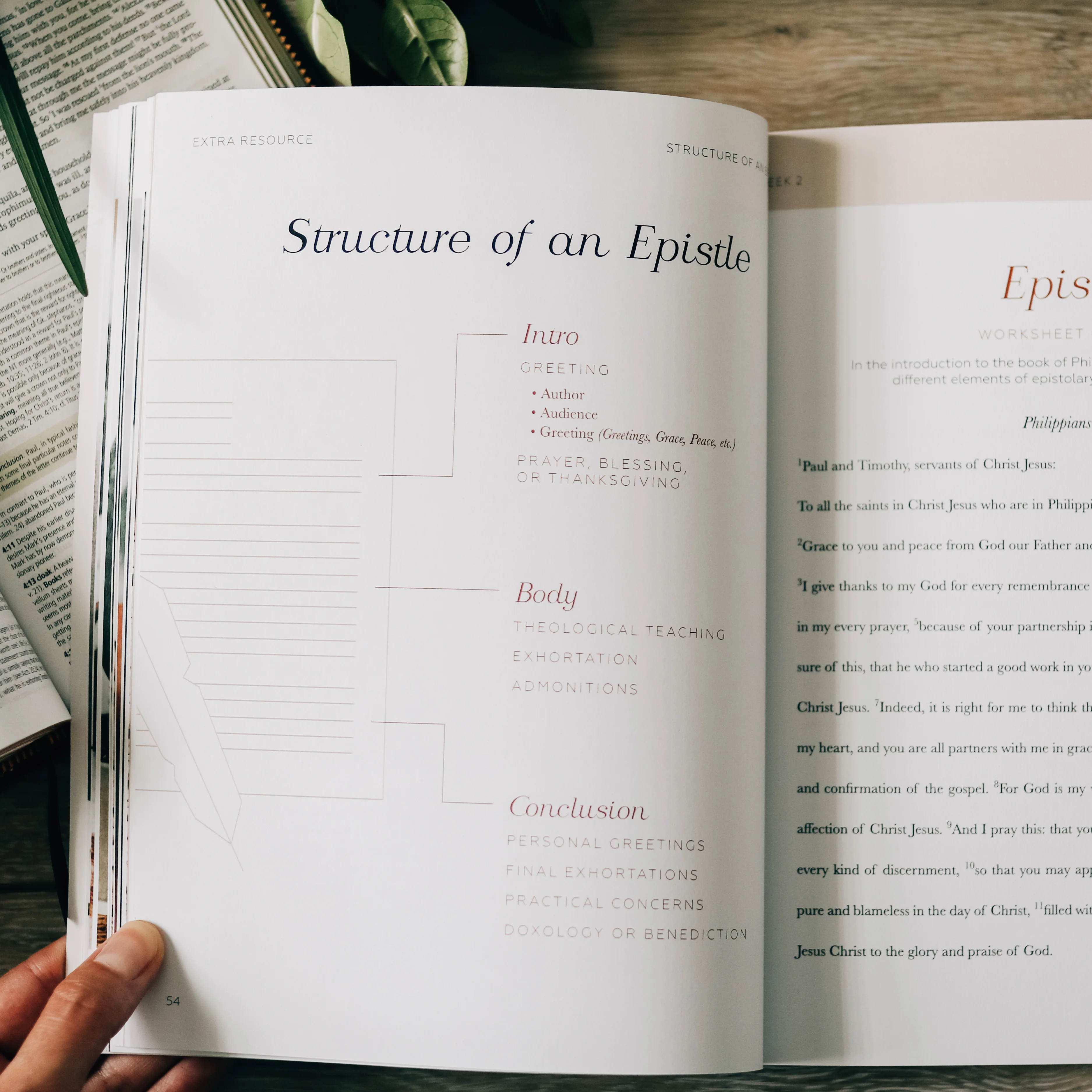 Search the Word | Bible Study - Image 6