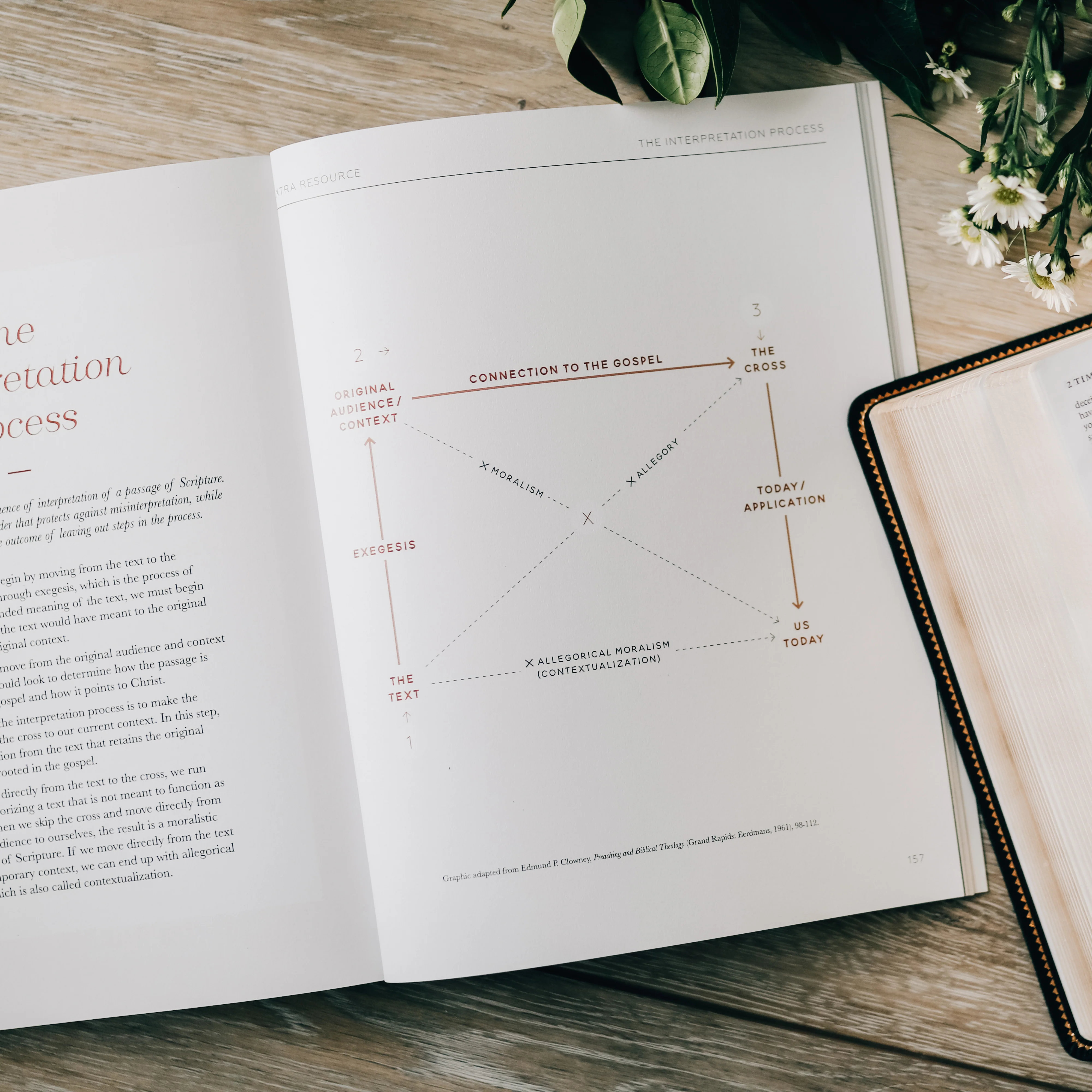 Search the Word | Bible Study - Image 8