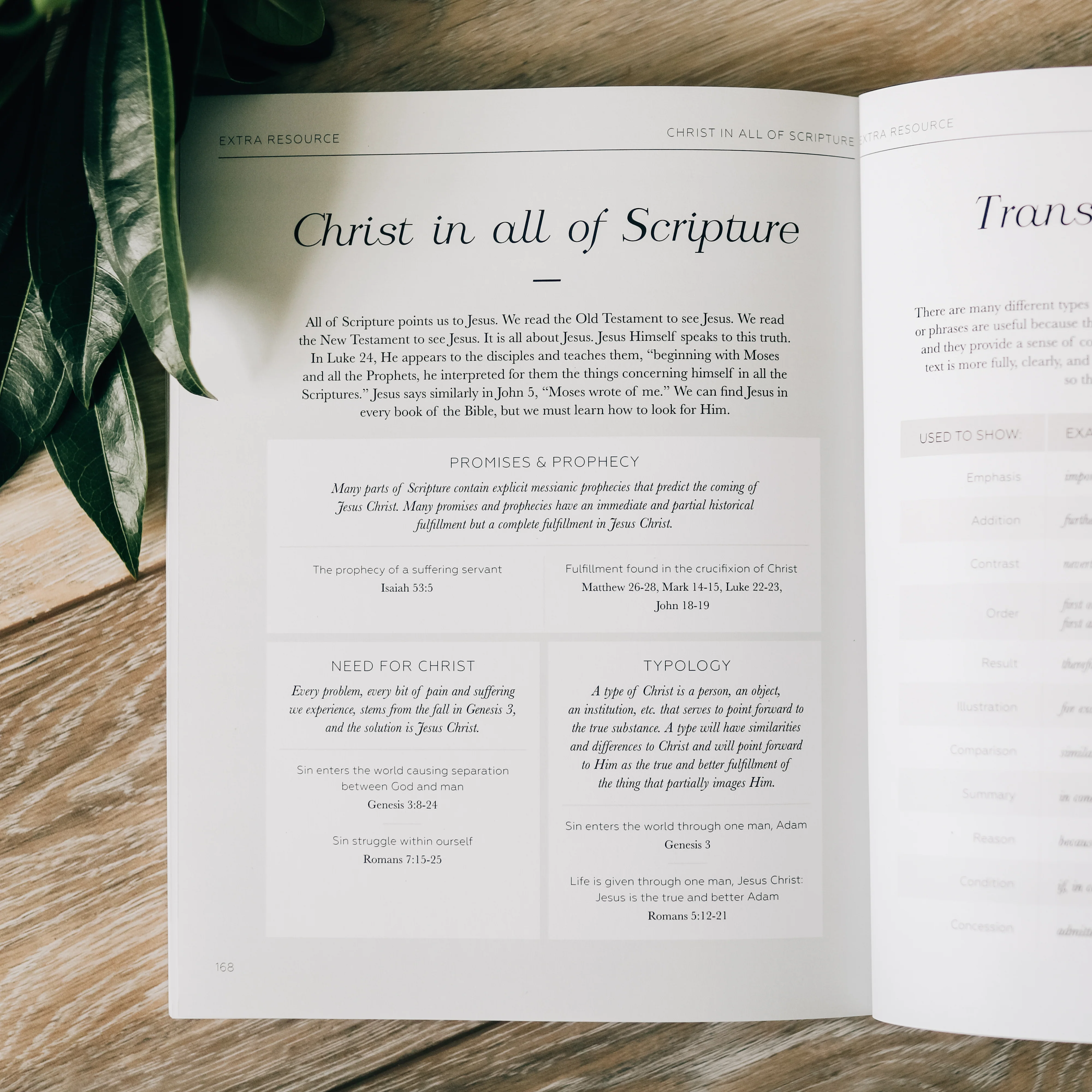Search the Word | Bible Study - Image 9