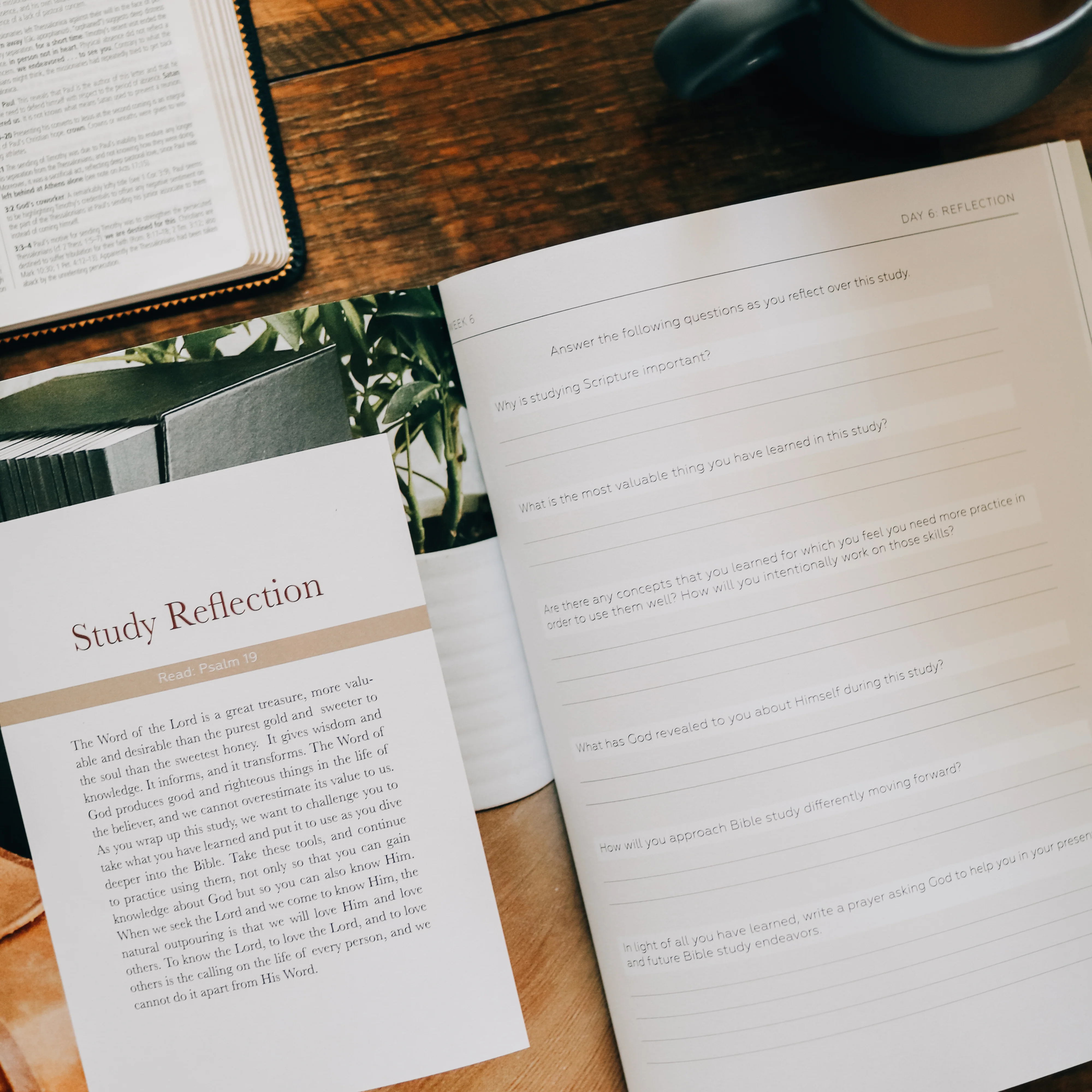 Search the Word | Study - Men - Image 11