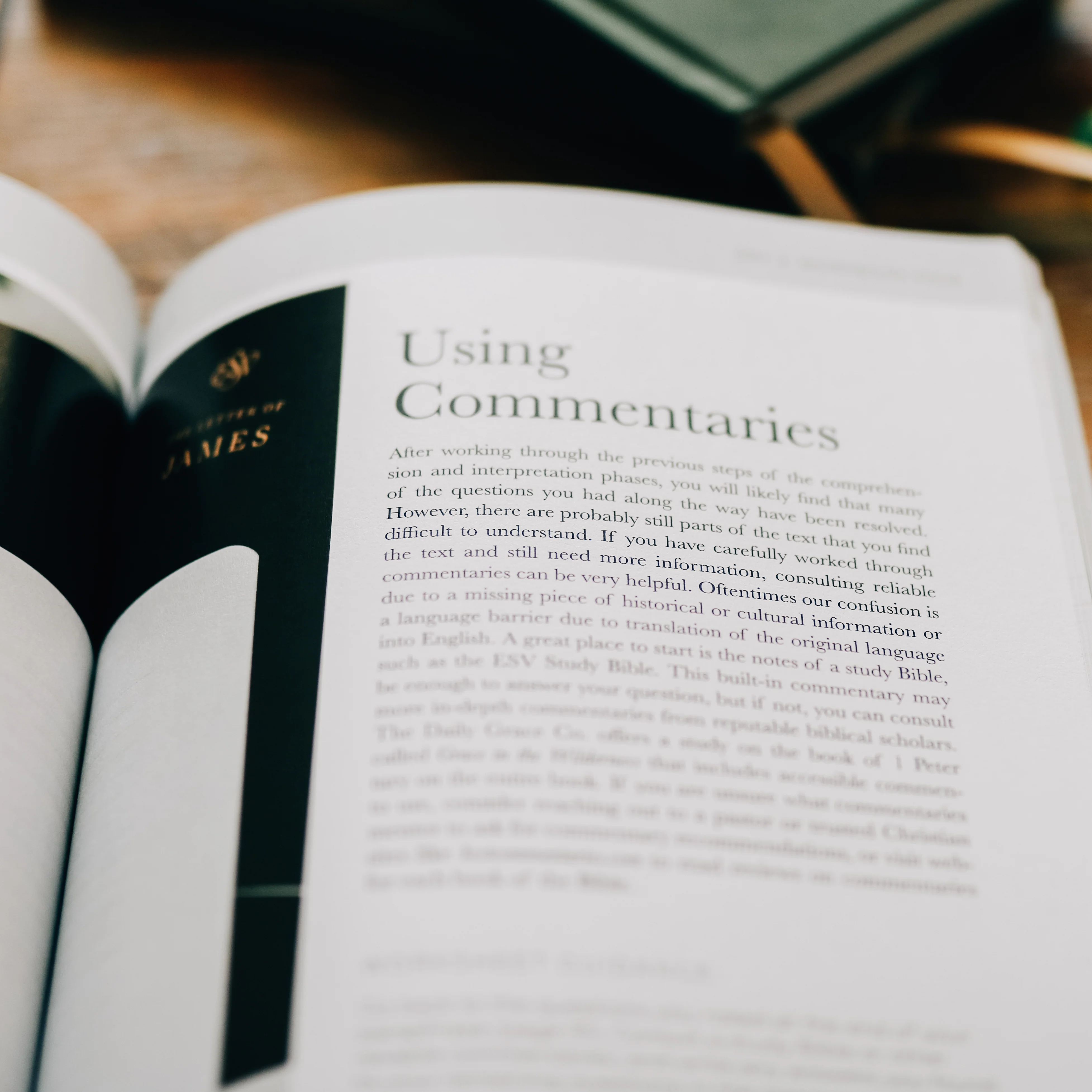 Search the Word | Study - Men - Image 6