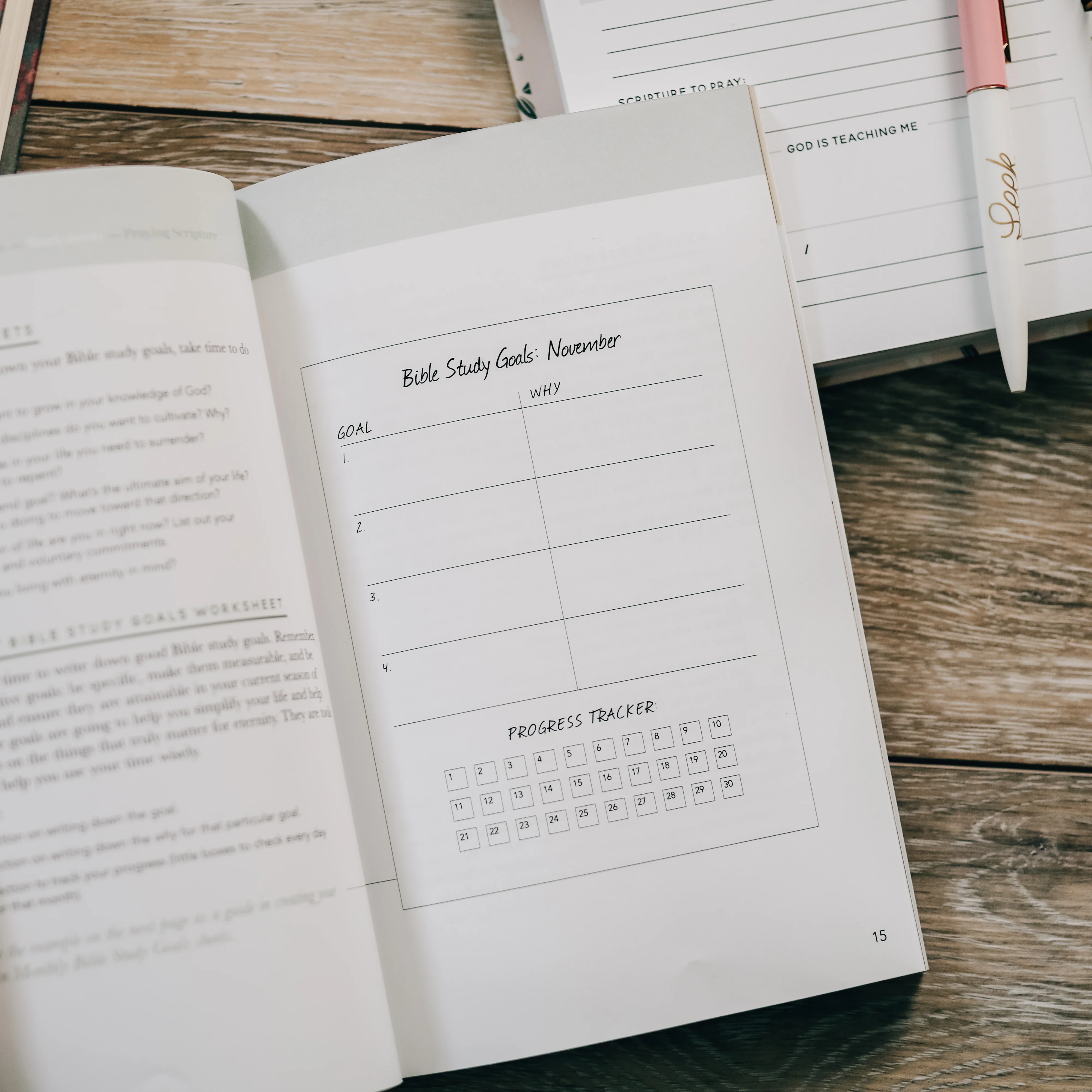 Seasons in the Word | Bible Reading Plans - Image 12