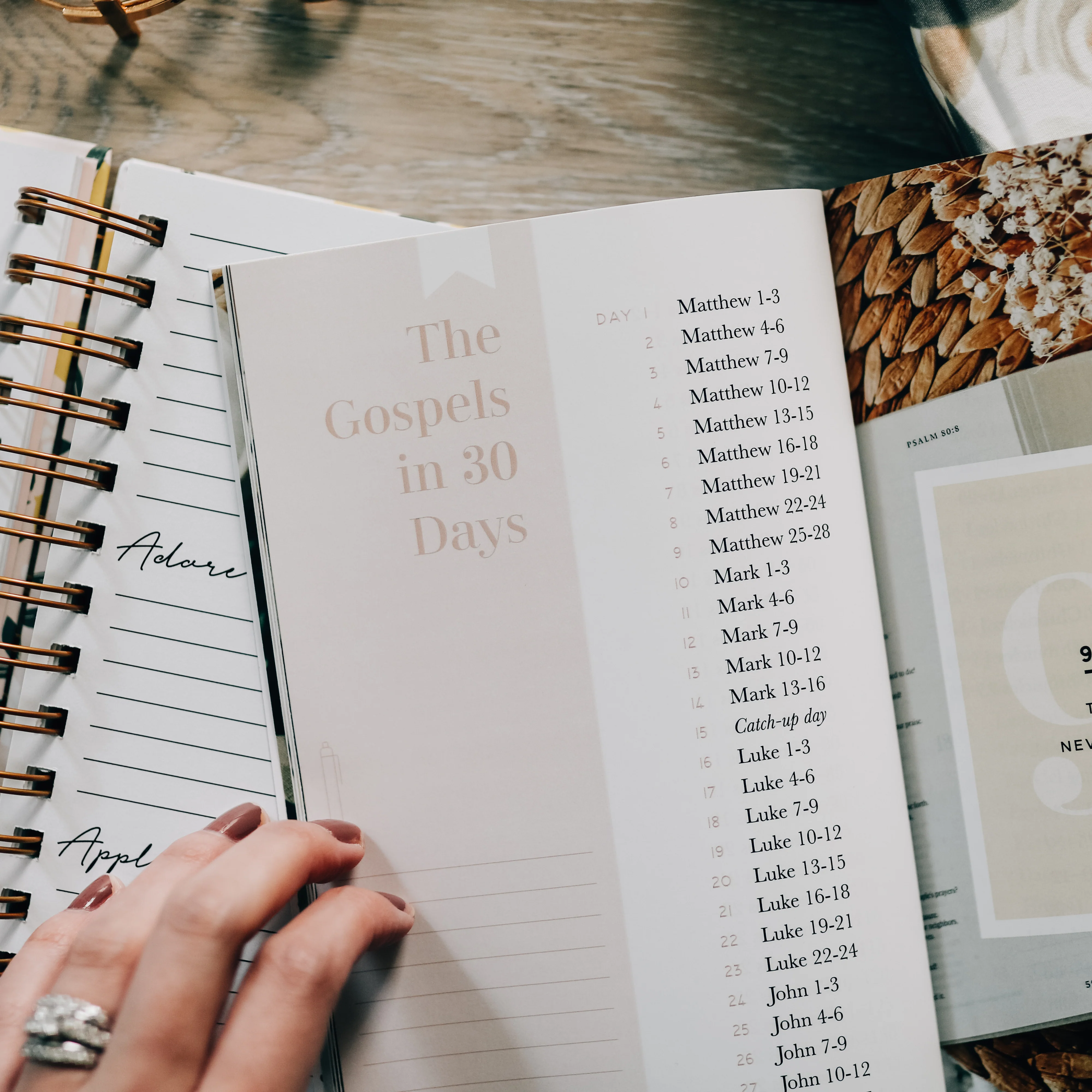 Seasons in the Word | Bible Reading Plans - Image 3