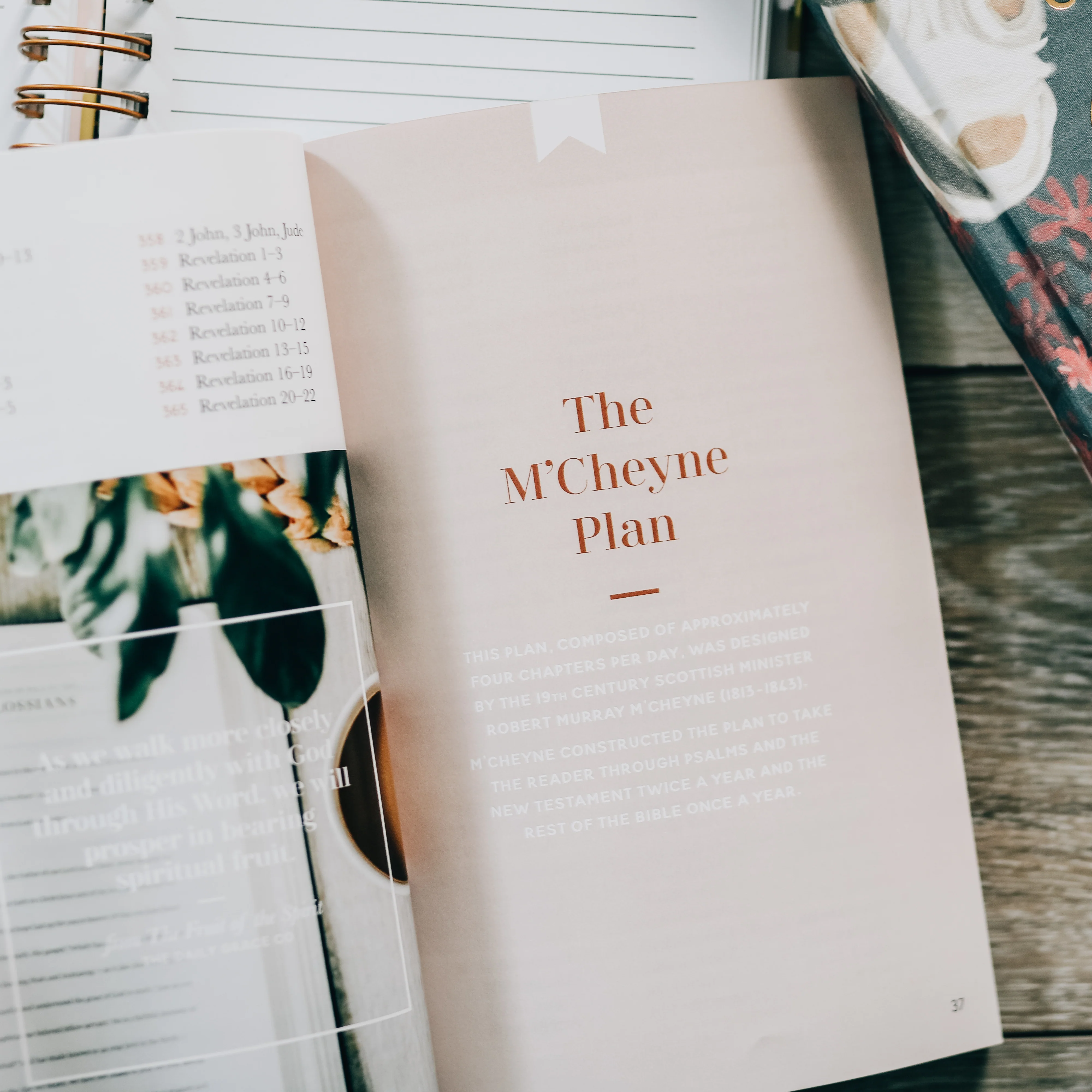 Seasons in the Word | Bible Reading Plans - Image 5