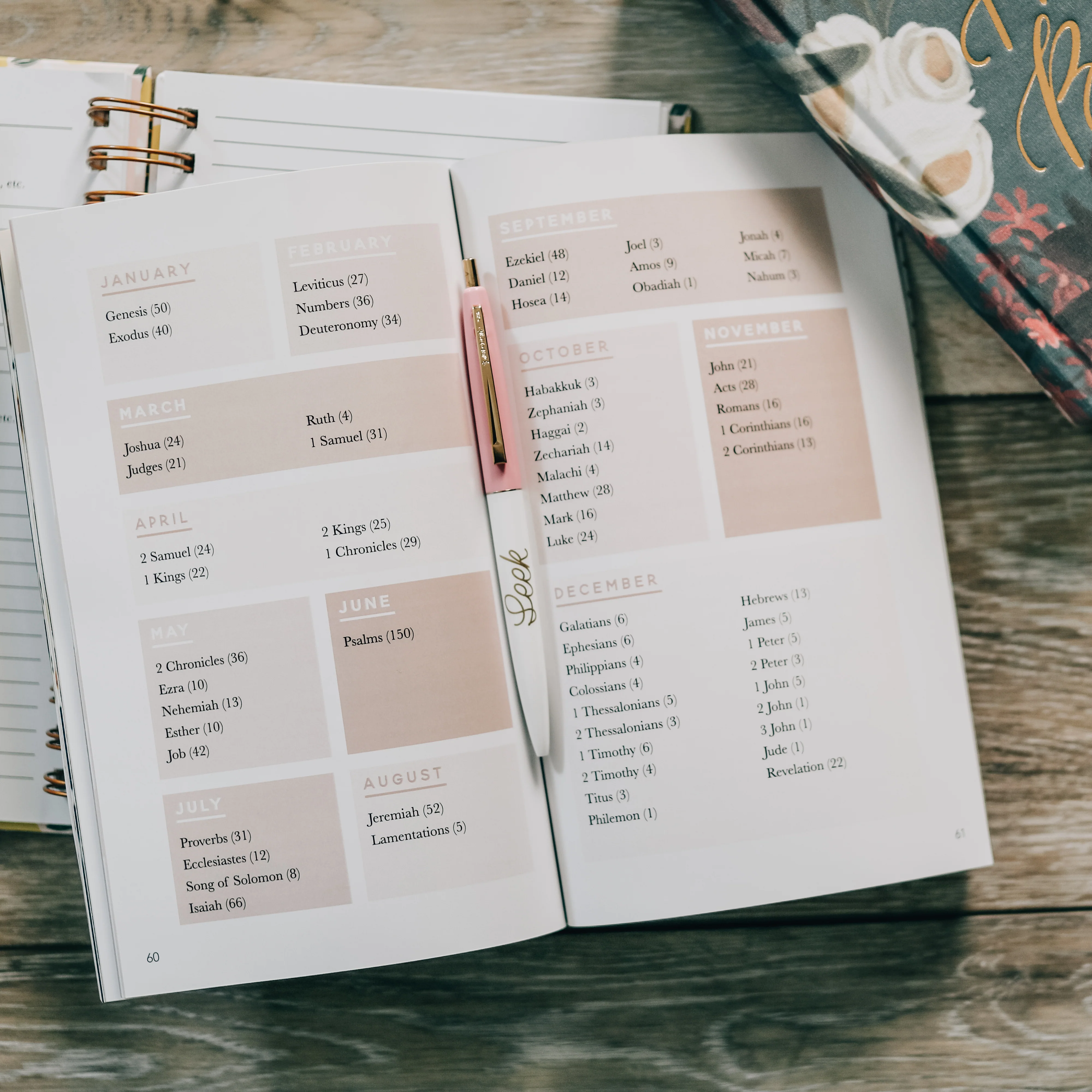 Seasons in the Word | Bible Reading Plans - Image 8