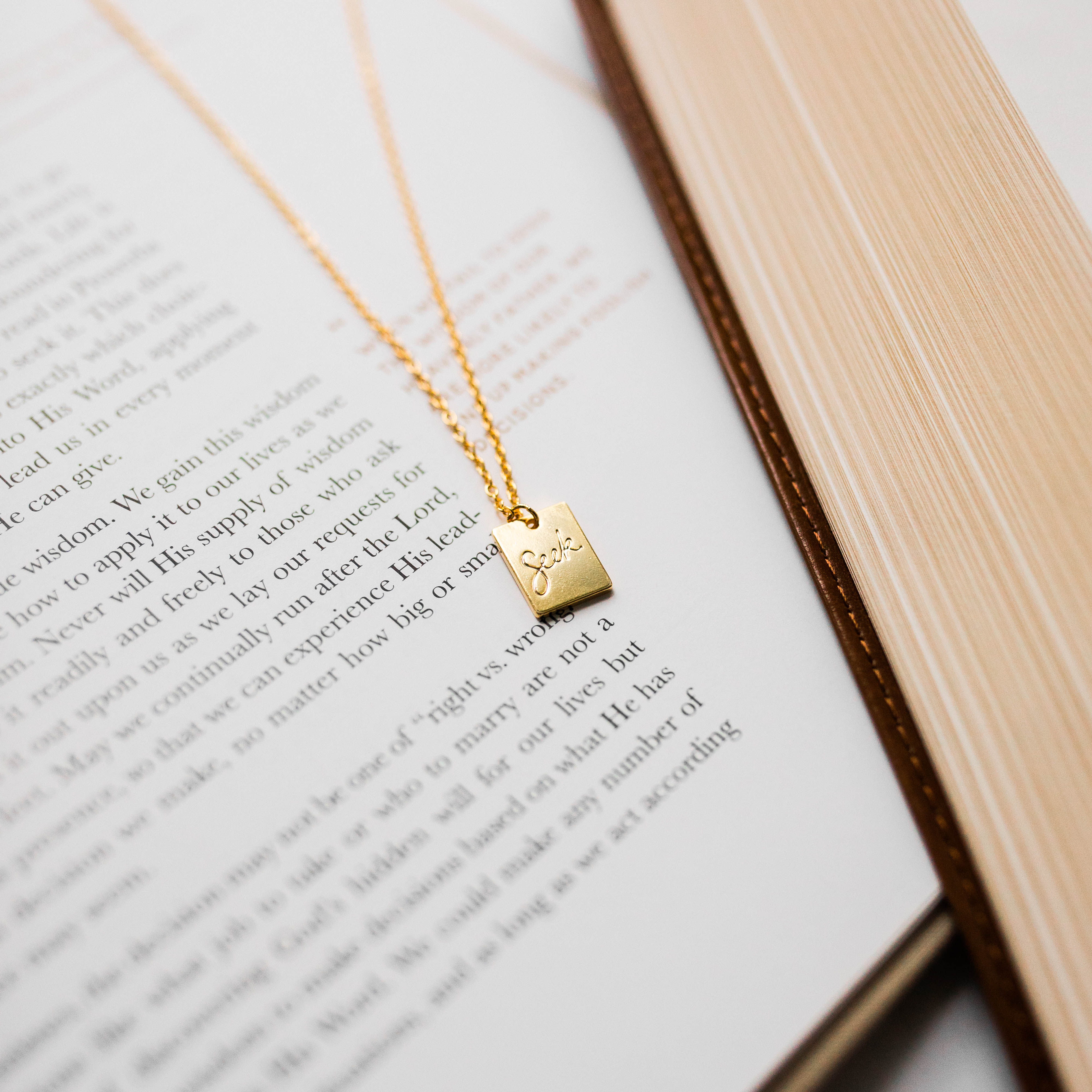 Seek Necklace - Image 2