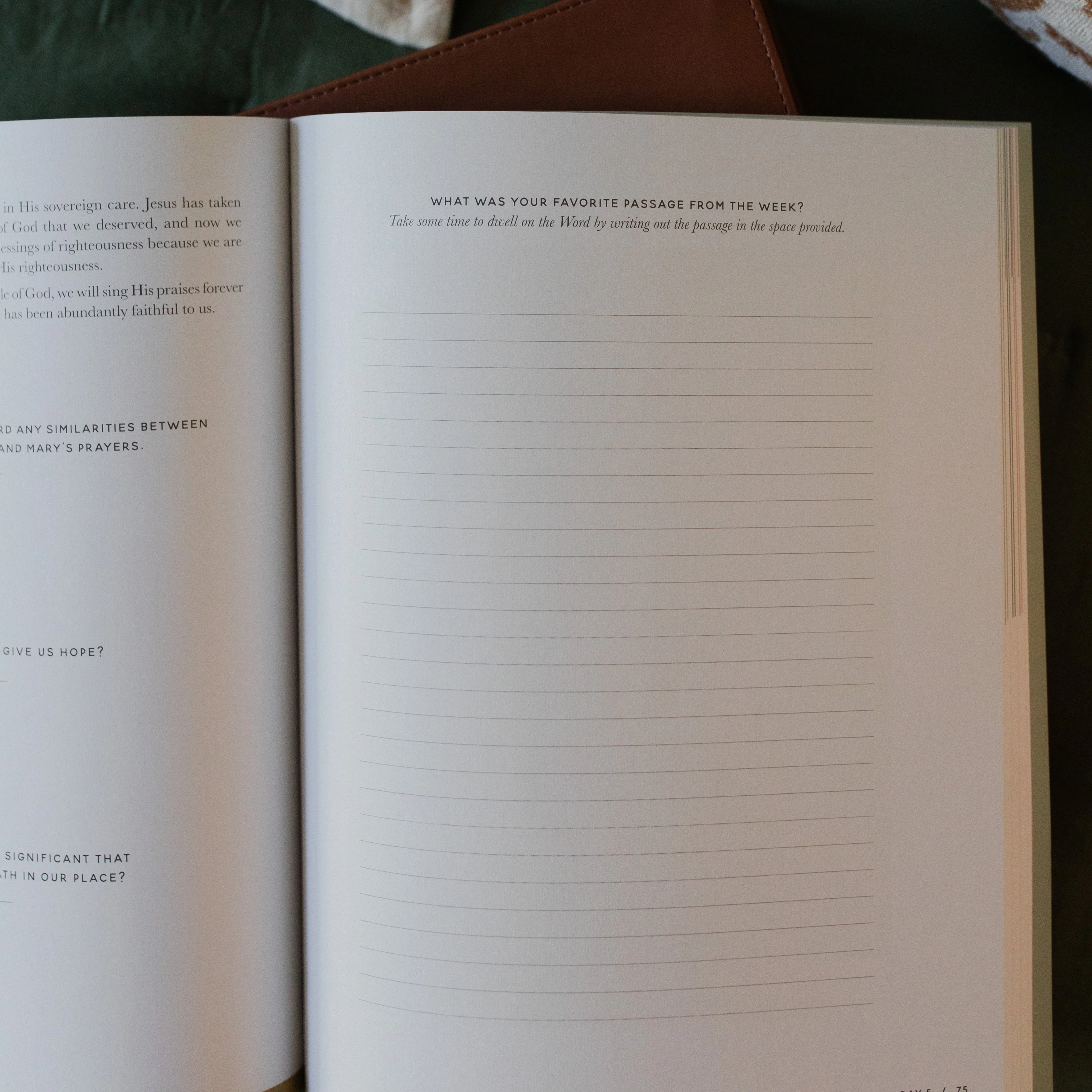 Seek | 6 Week Bible Study | A Walk Through Psalms 61-90 - Image 5