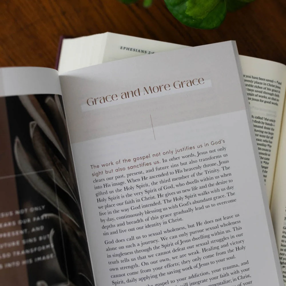 Gospel Hope for Sexuality and Singleness Booklet - Image 6