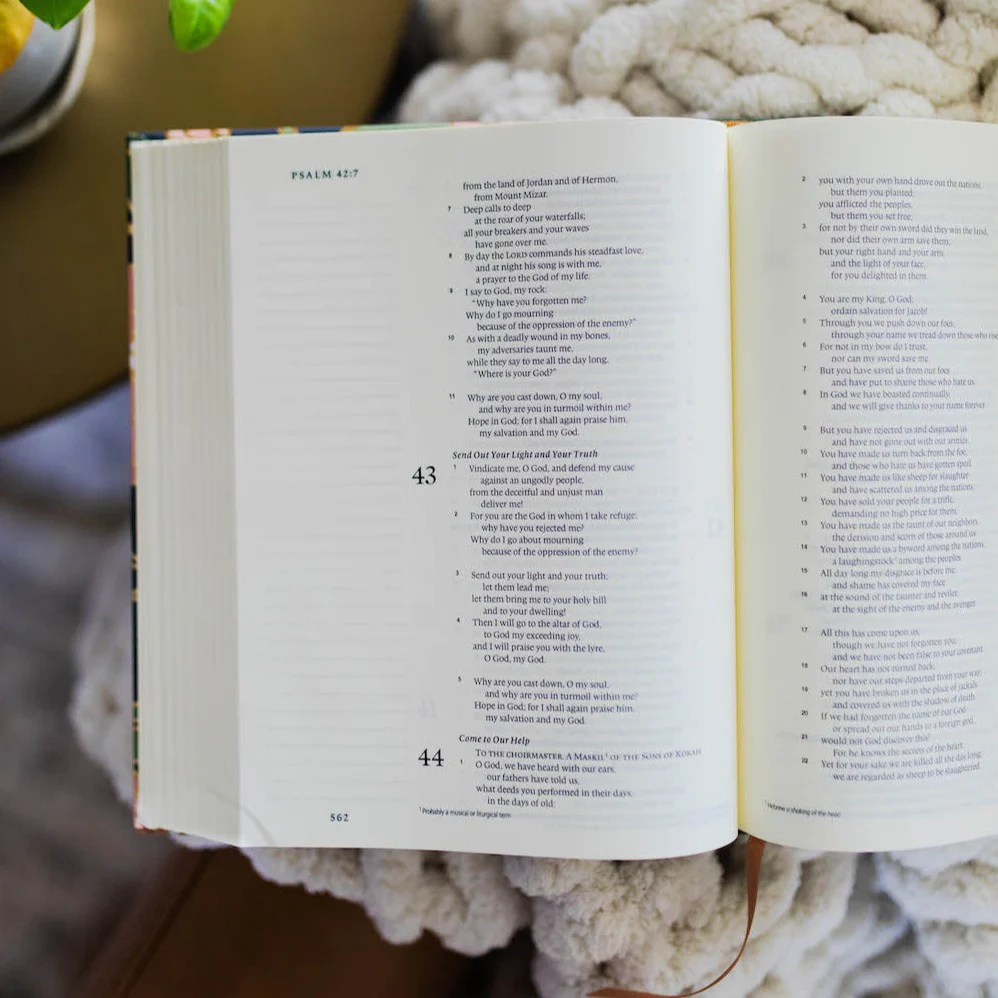 ESV Single Column Journaling Bible® | Stained Glass Blooms - Image 3