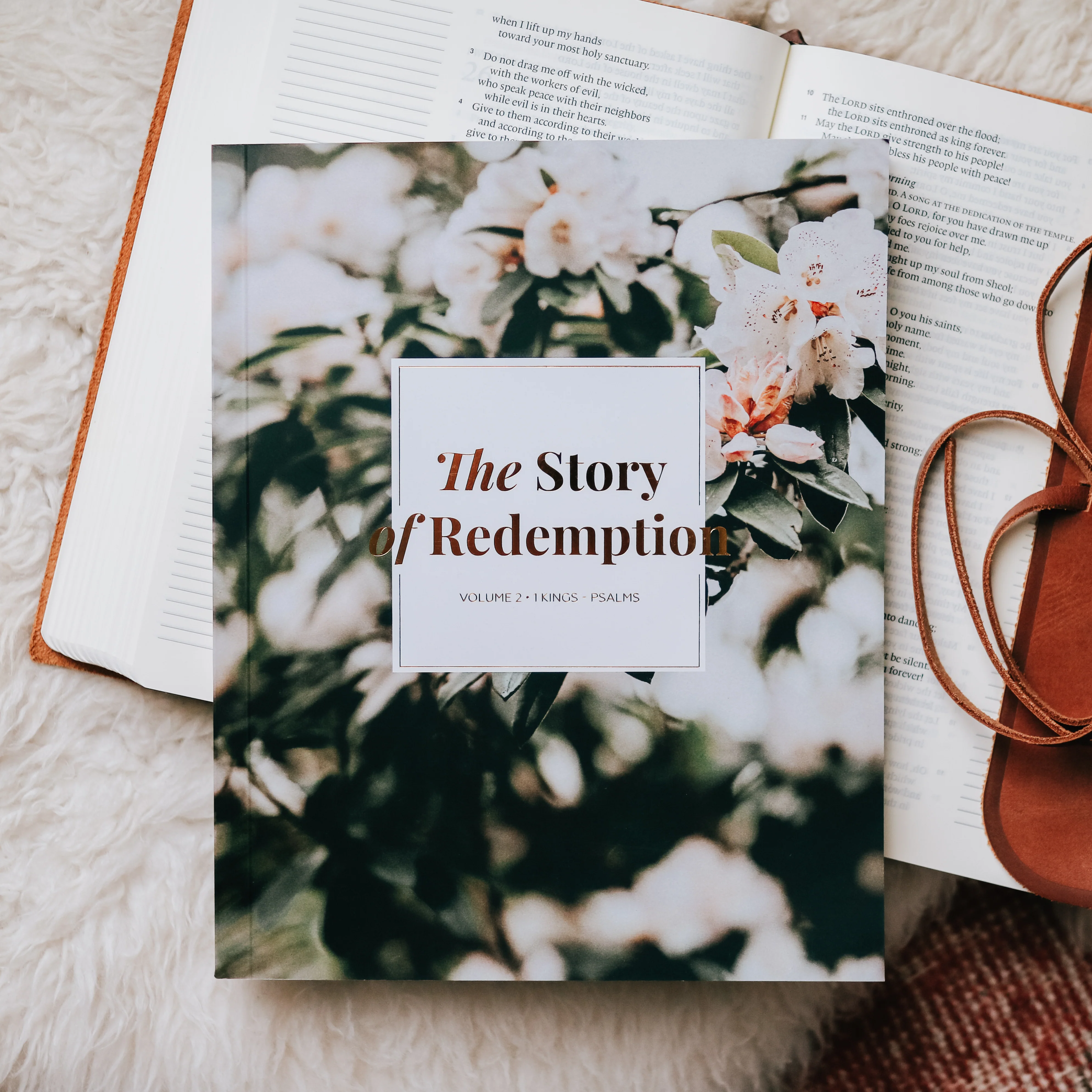 The Story of Redemption Bible Study Bundle - Image 3
