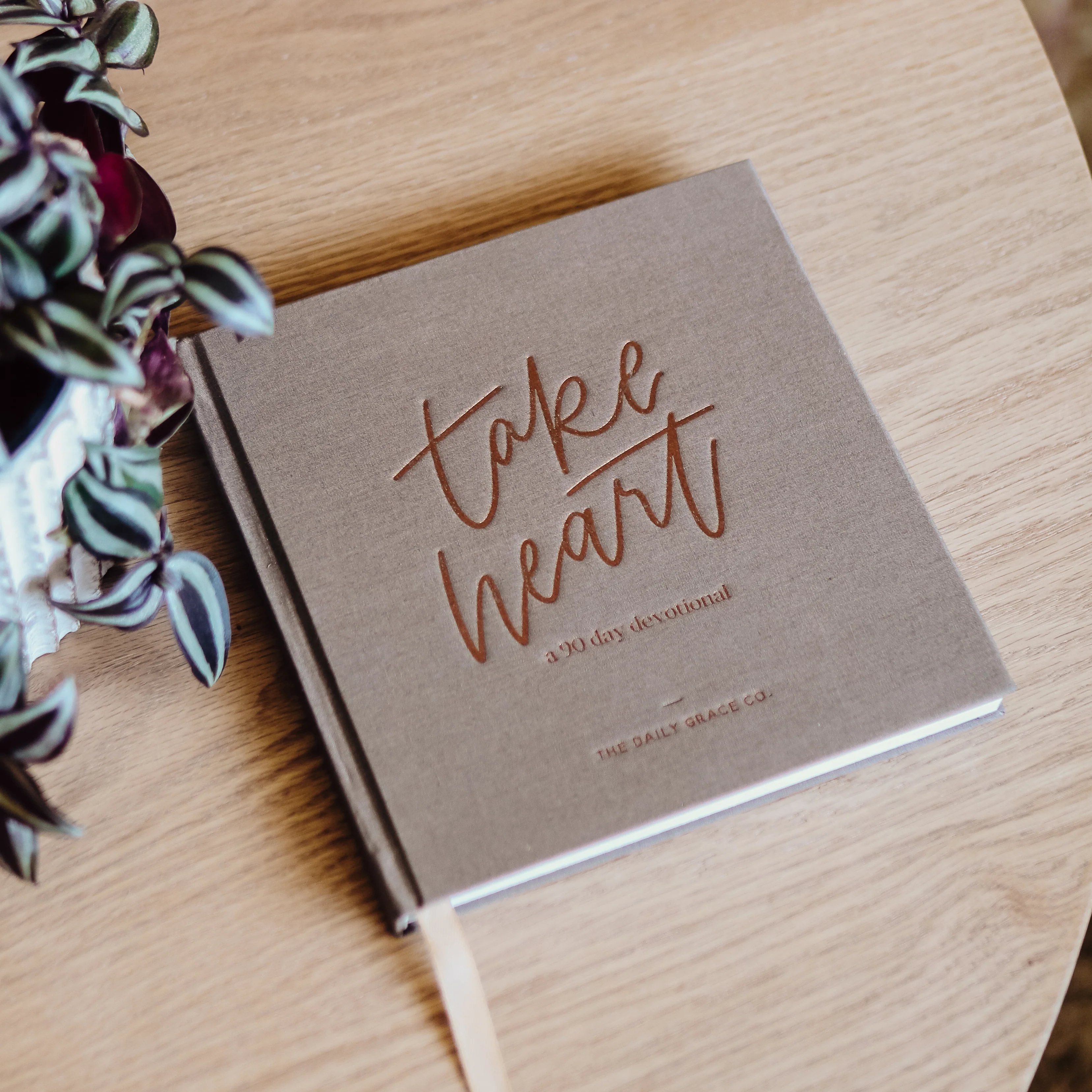Take Heart | A 90-Day Devotional - Image 6