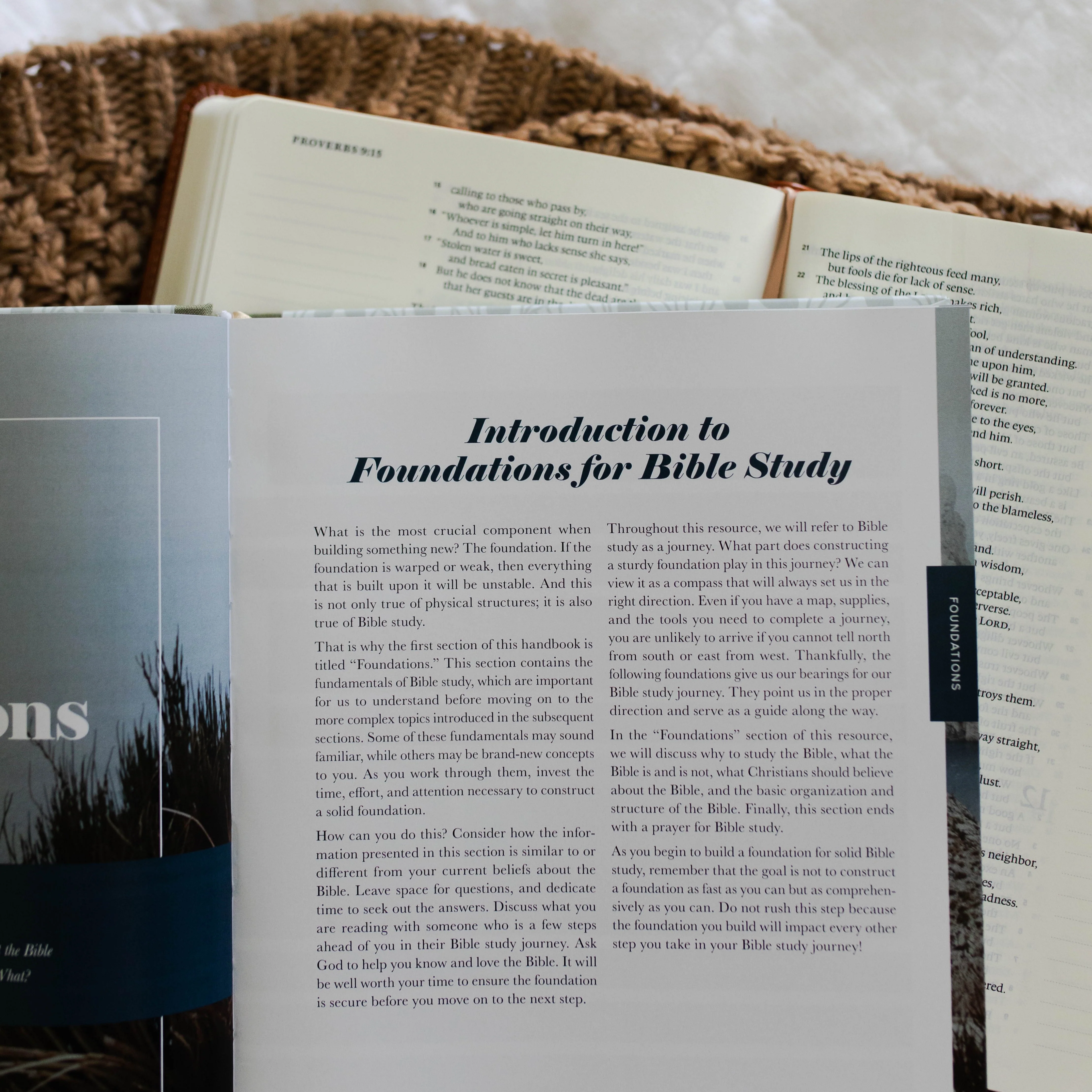 The Bible Study Handbook - Image 3