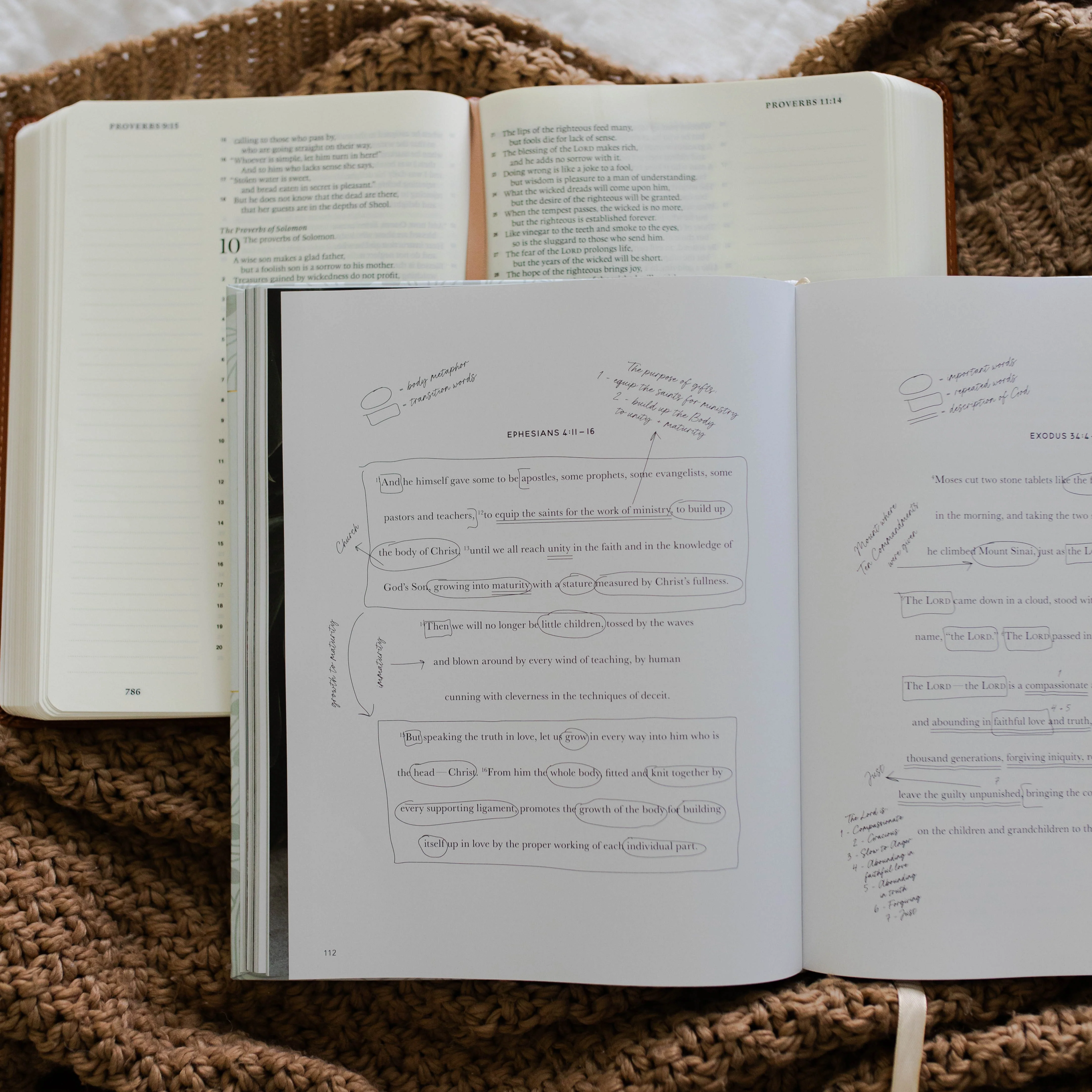 The Bible Study Handbook - Image 5