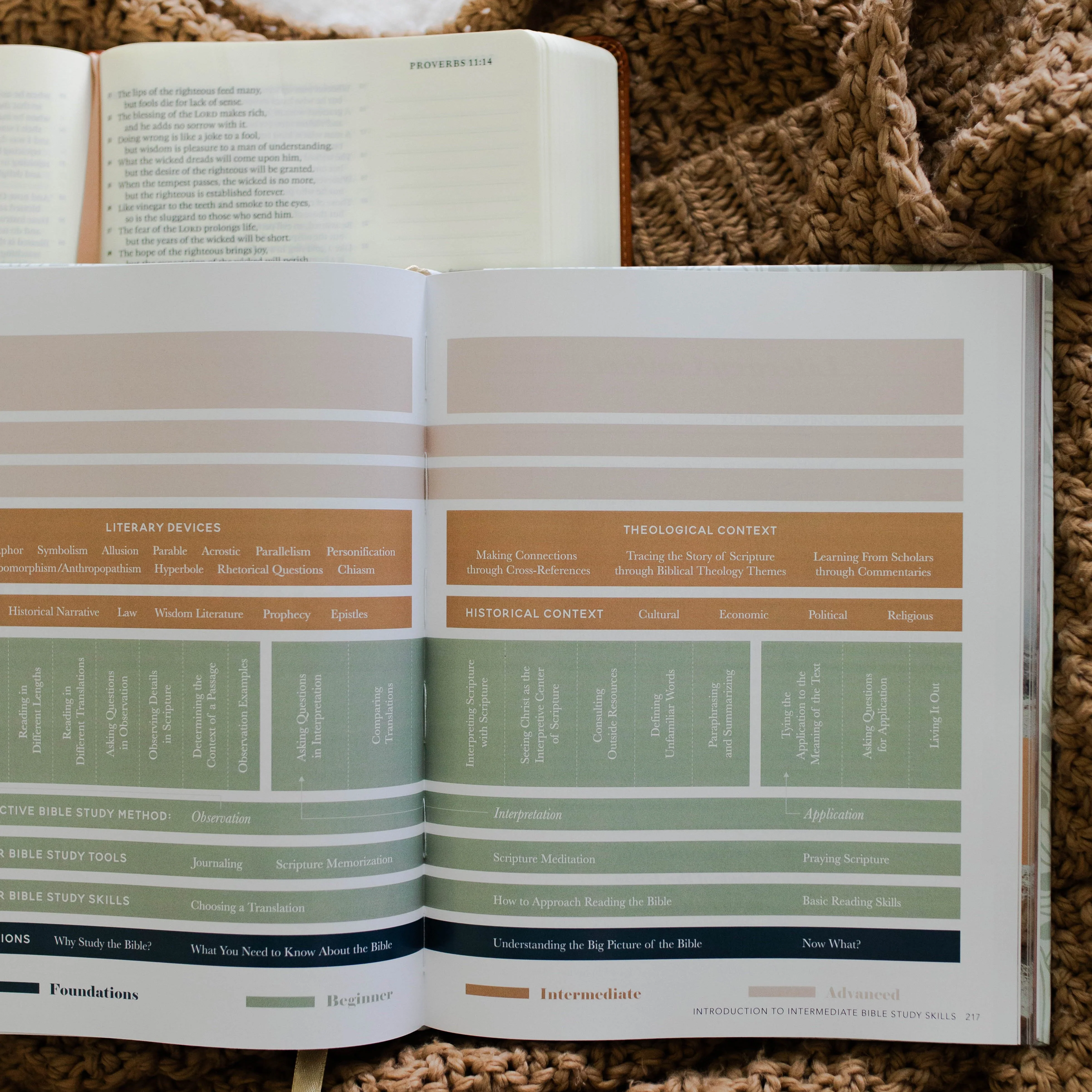 The Bible Study Handbook - Image 6