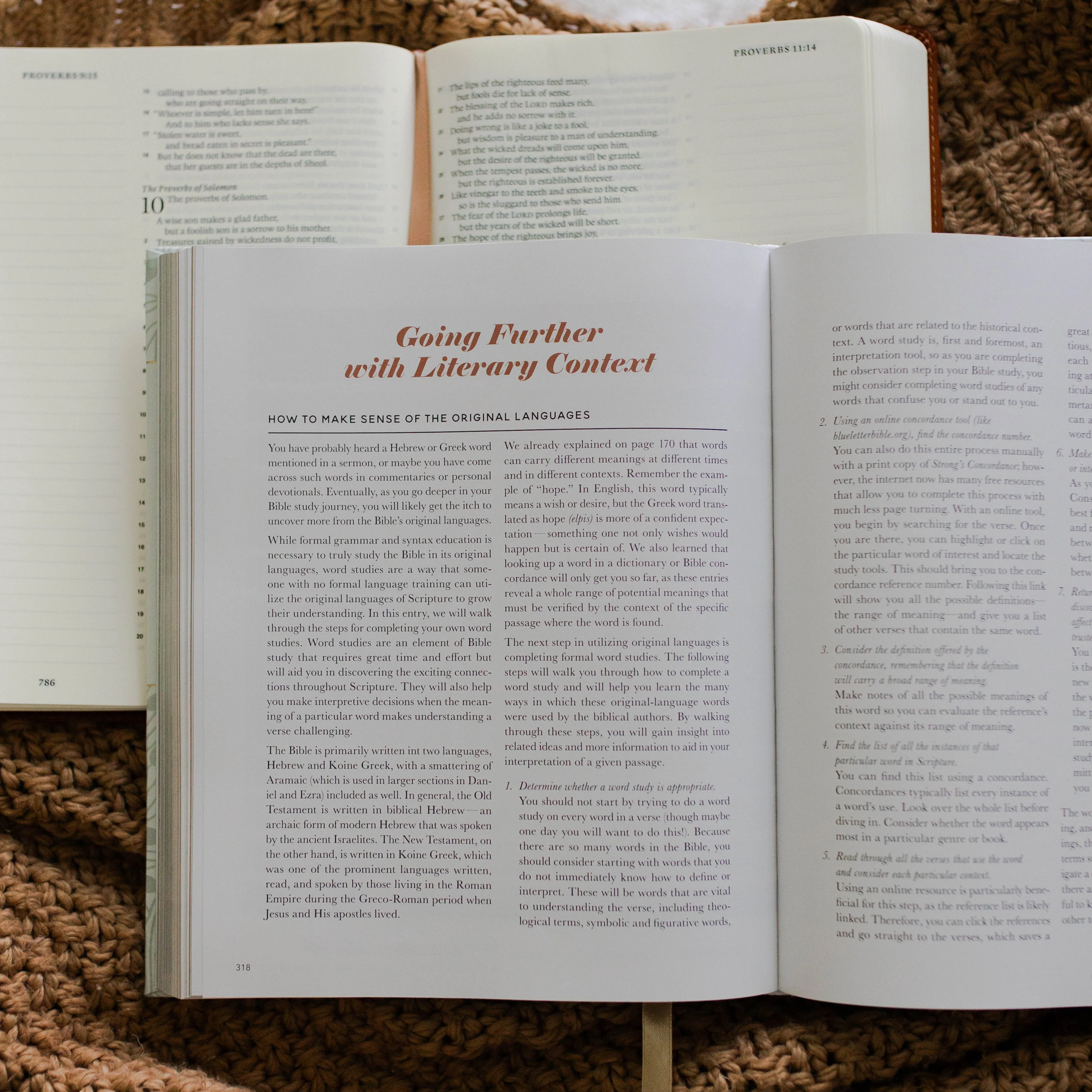 The Bible Study Handbook - Image 8