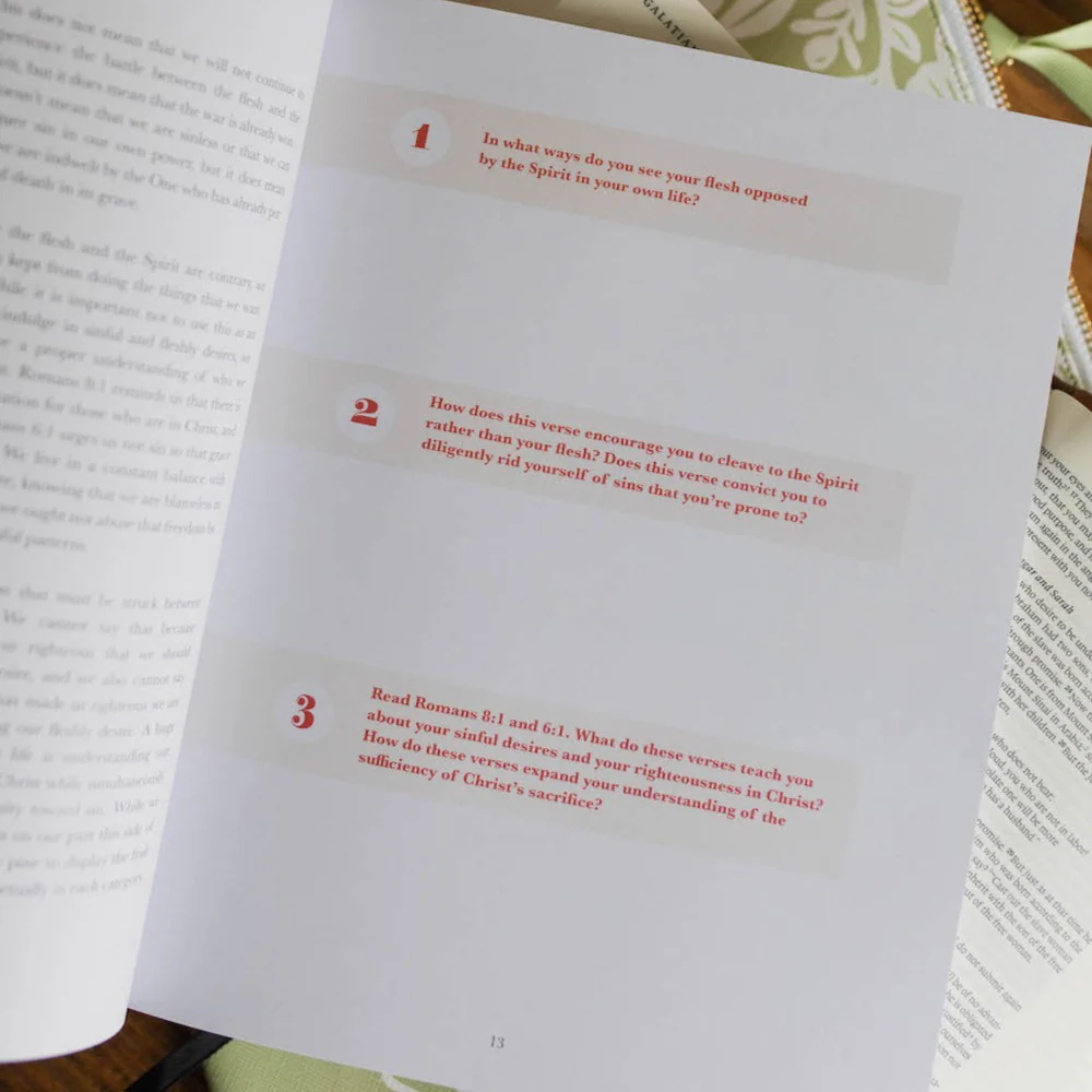 The Fruit of the Spirit Bible Study - Image 3