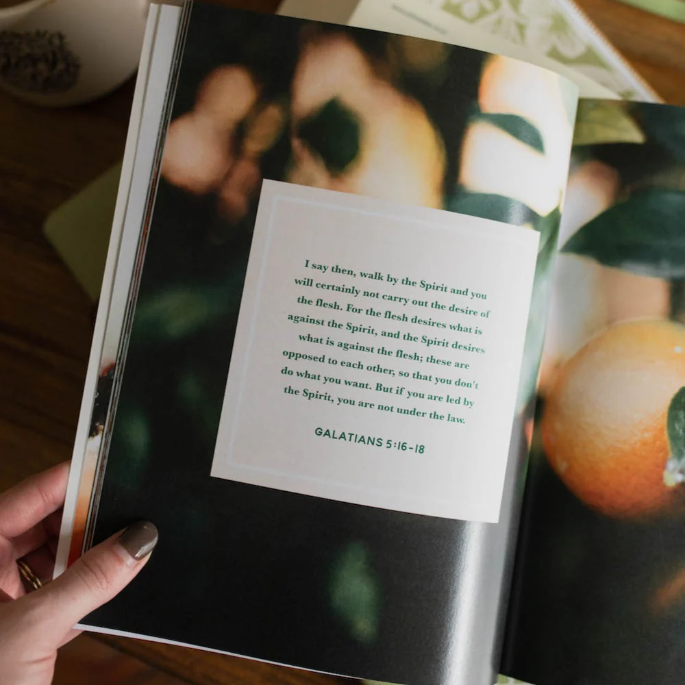 The Fruit of the Spirit Bible Study - Image 5