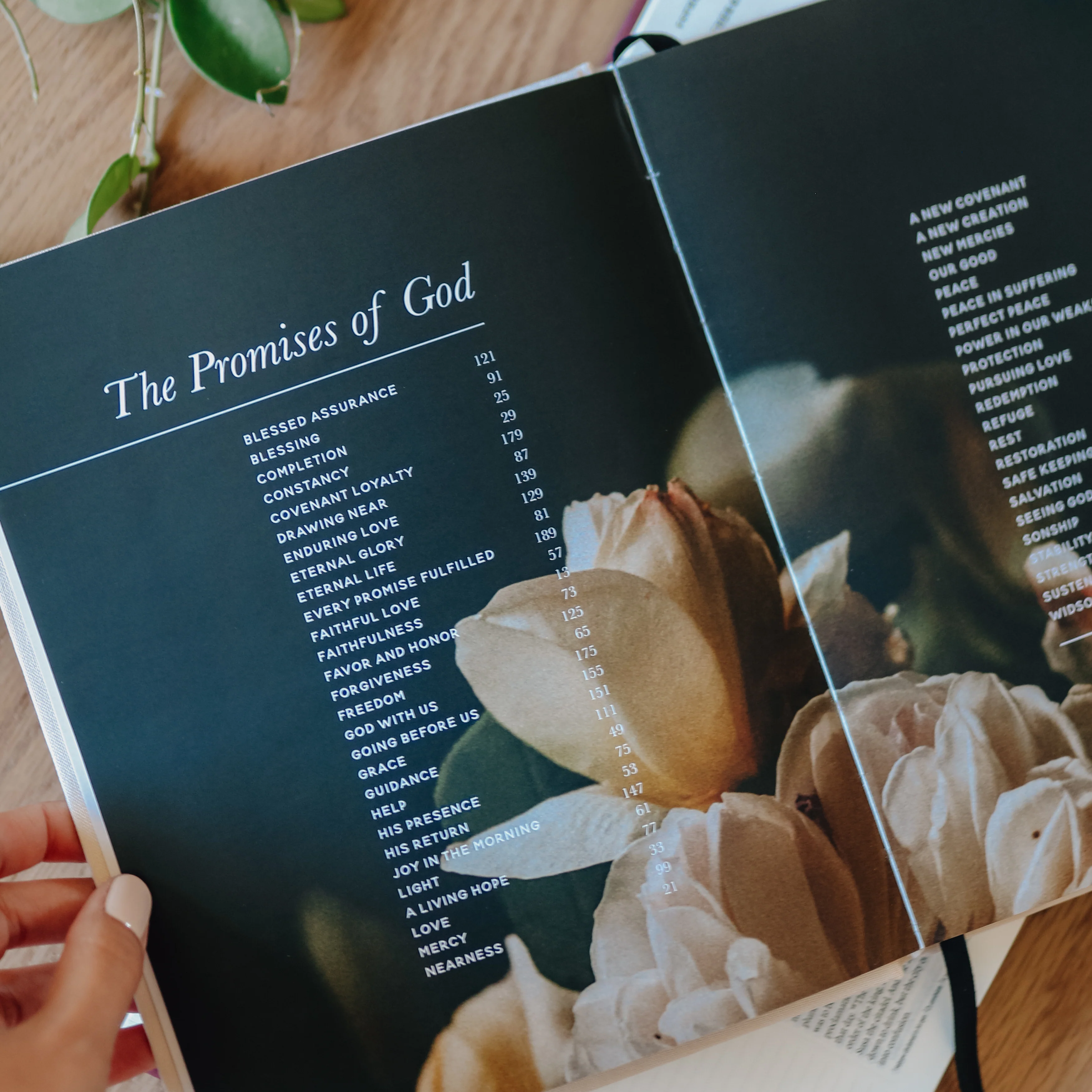 The Promises of God - Image 3