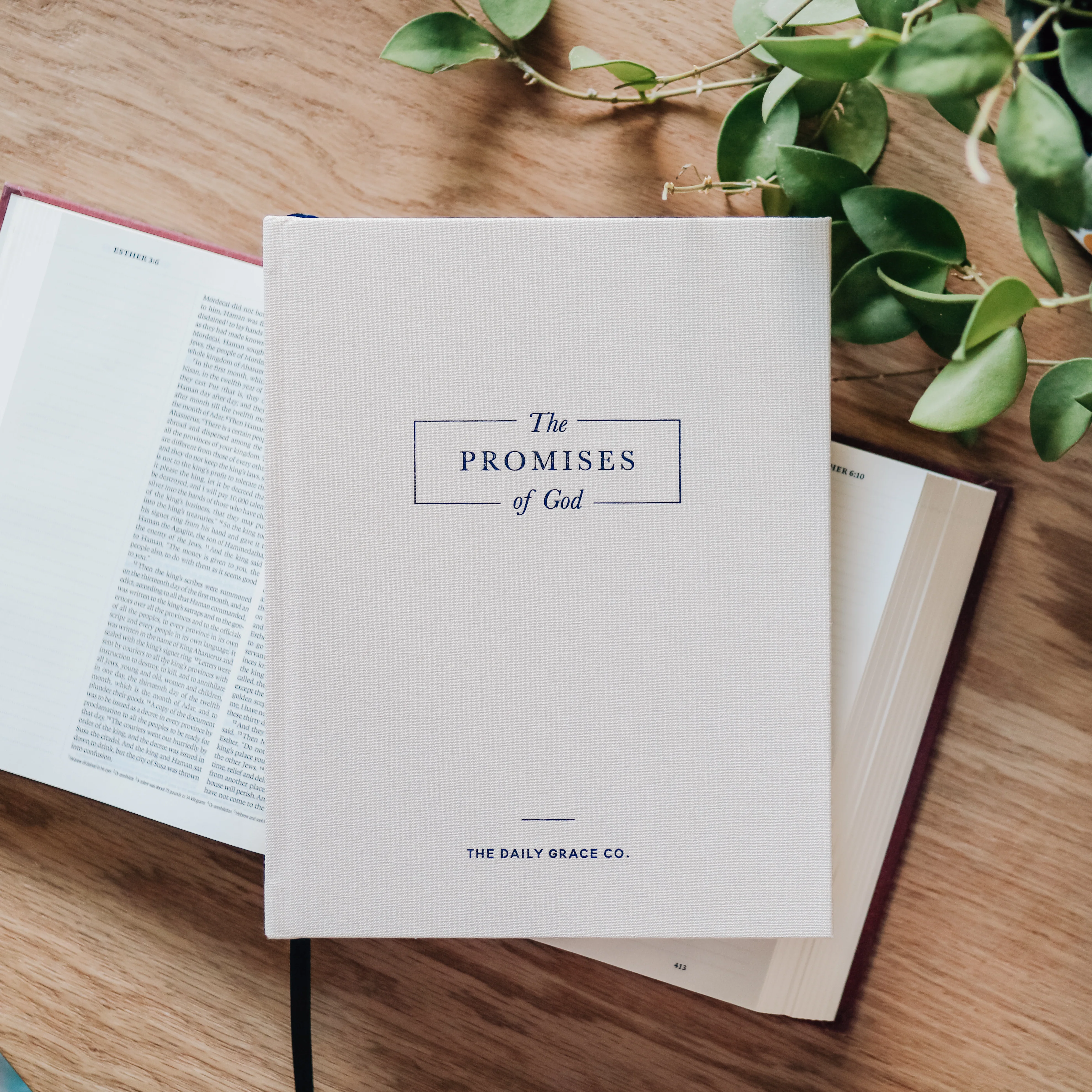 The Promises of God - Image 7