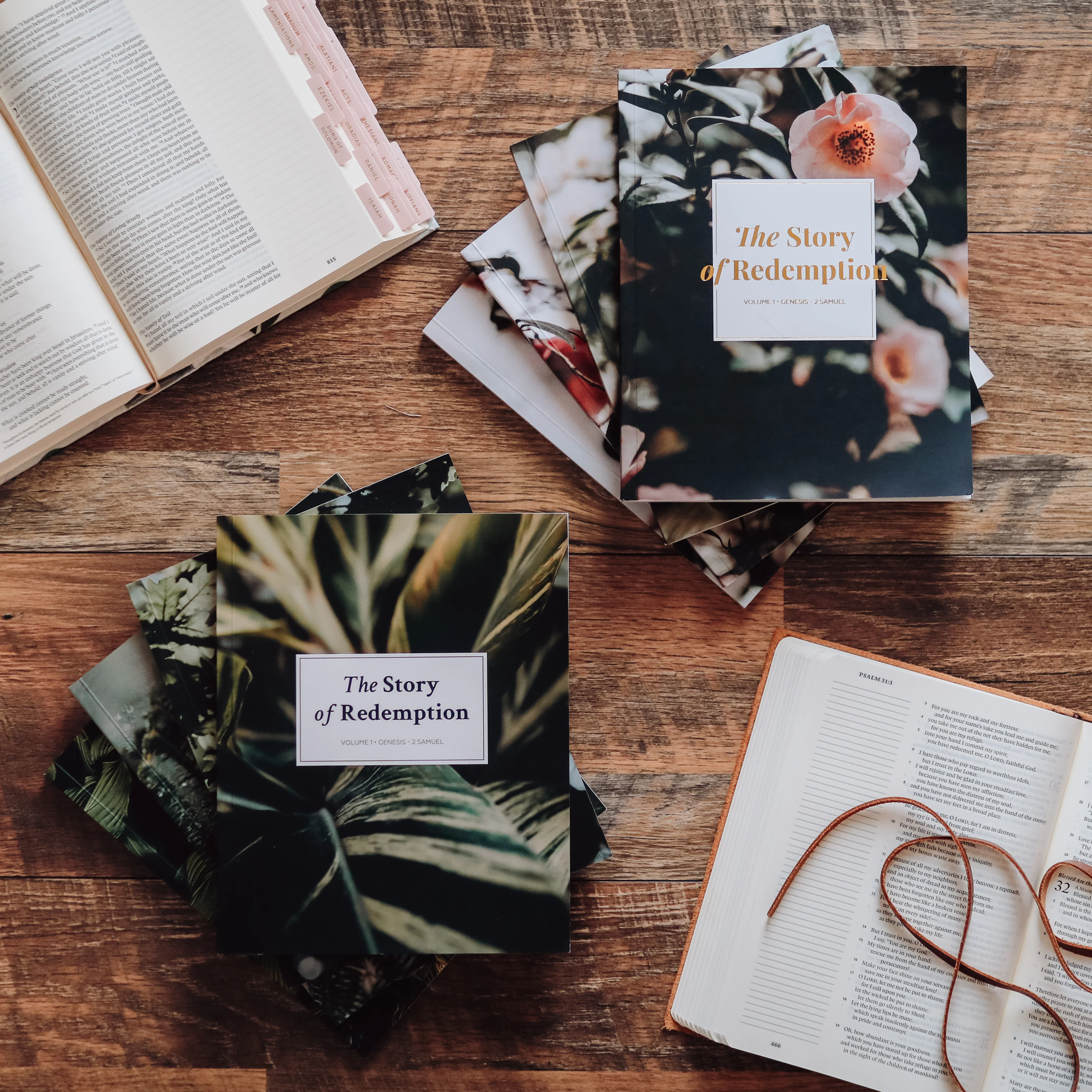 The Story of Redemption Bible Studies - His and Hers Bundle - Image 3