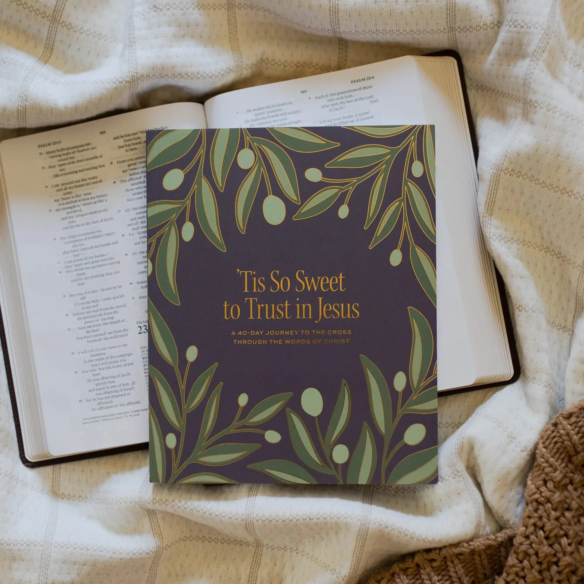 'Tis So Sweet to Trust in Jesus Bible Study - Image 2